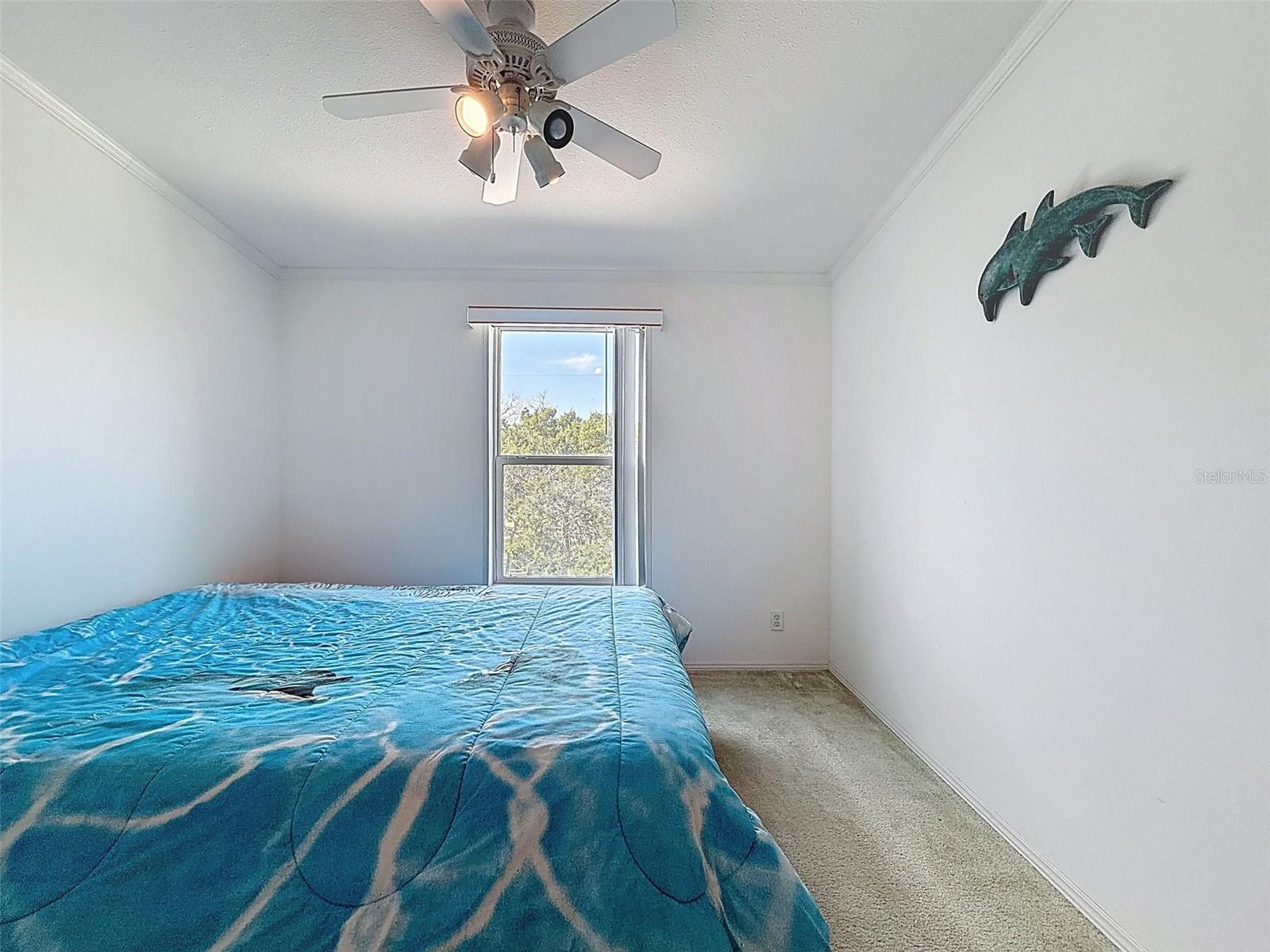 13925 W SANDDOLLAR LN, CRYSTAL RIVER, FL, 34429