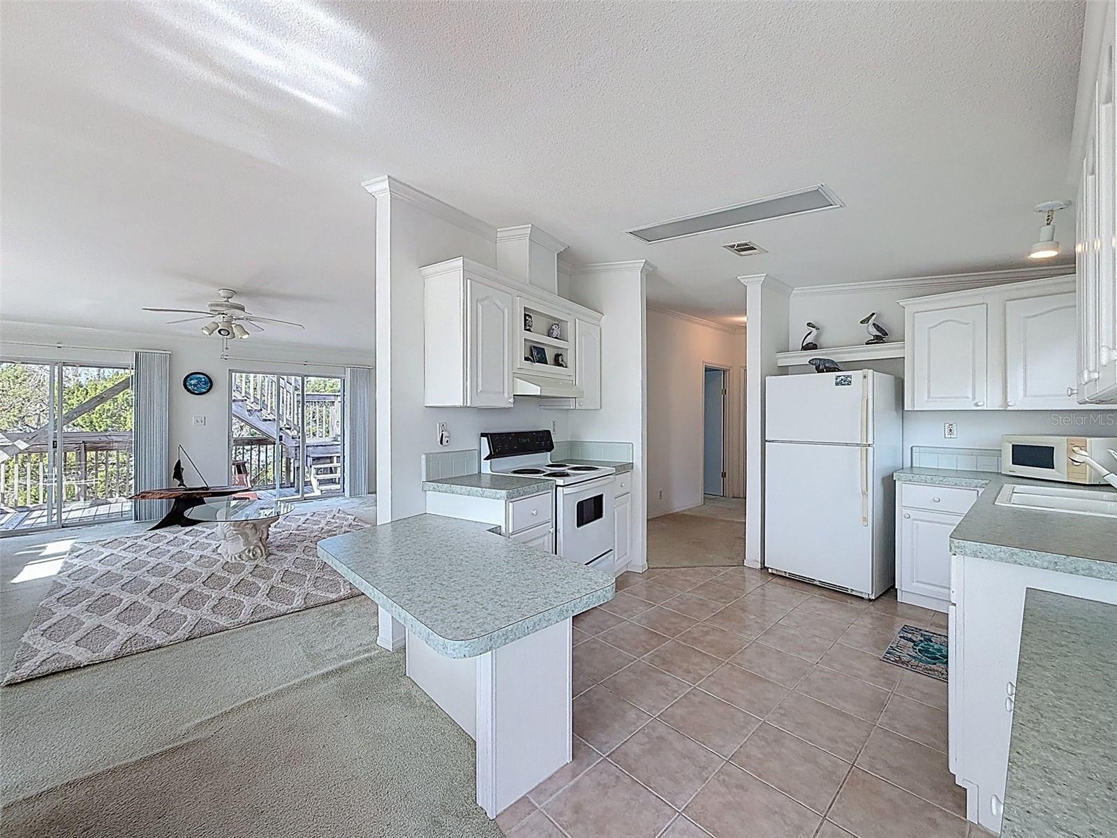 13925 W SANDDOLLAR LN, CRYSTAL RIVER, FL, 34429