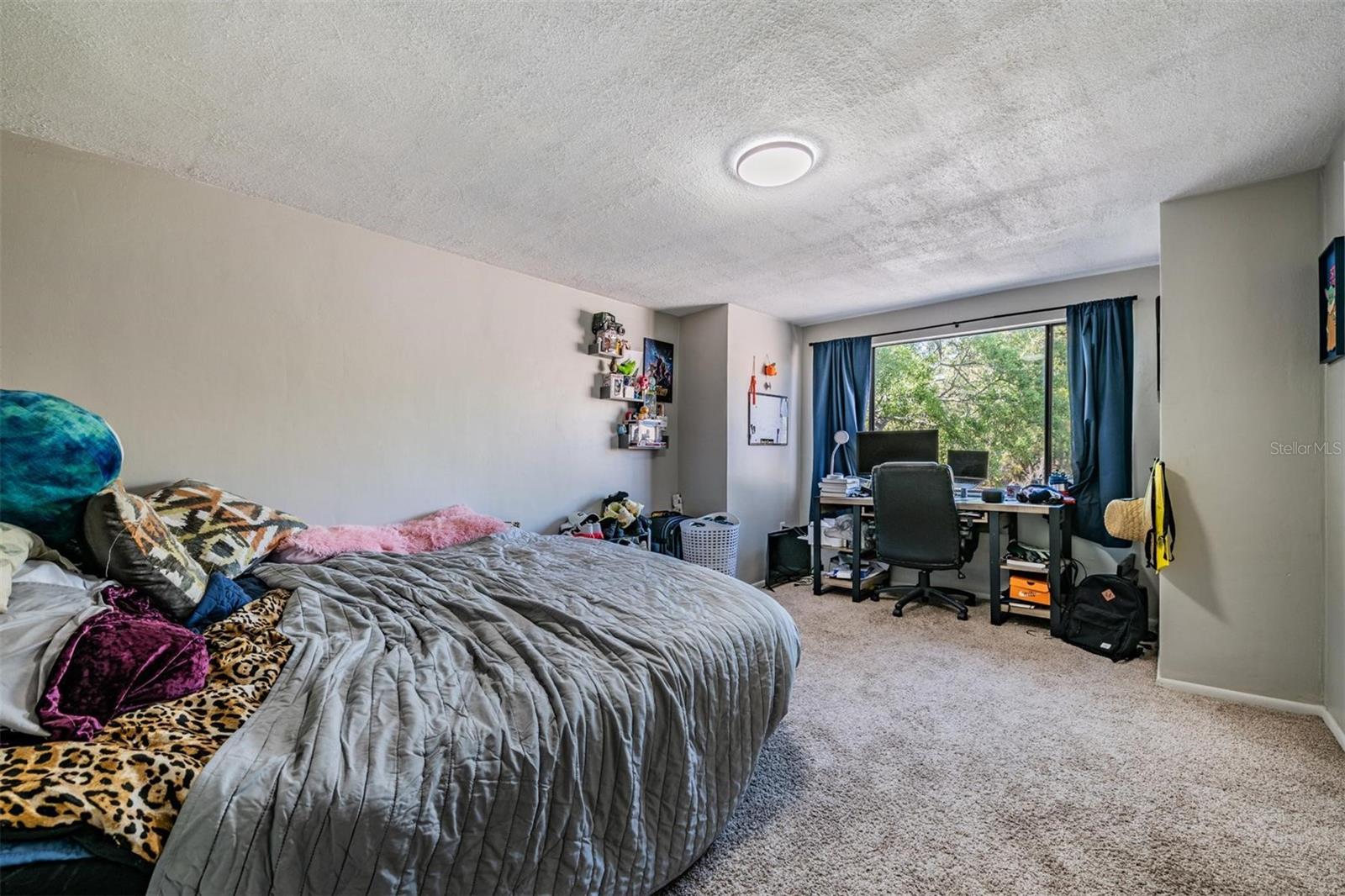 7300 BELLOWS FALLS LN, HUDSON, FL, 34667