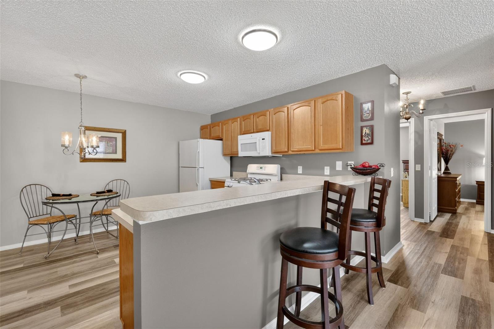 288 STARR LN, THE VILLAGES, FL, 32162