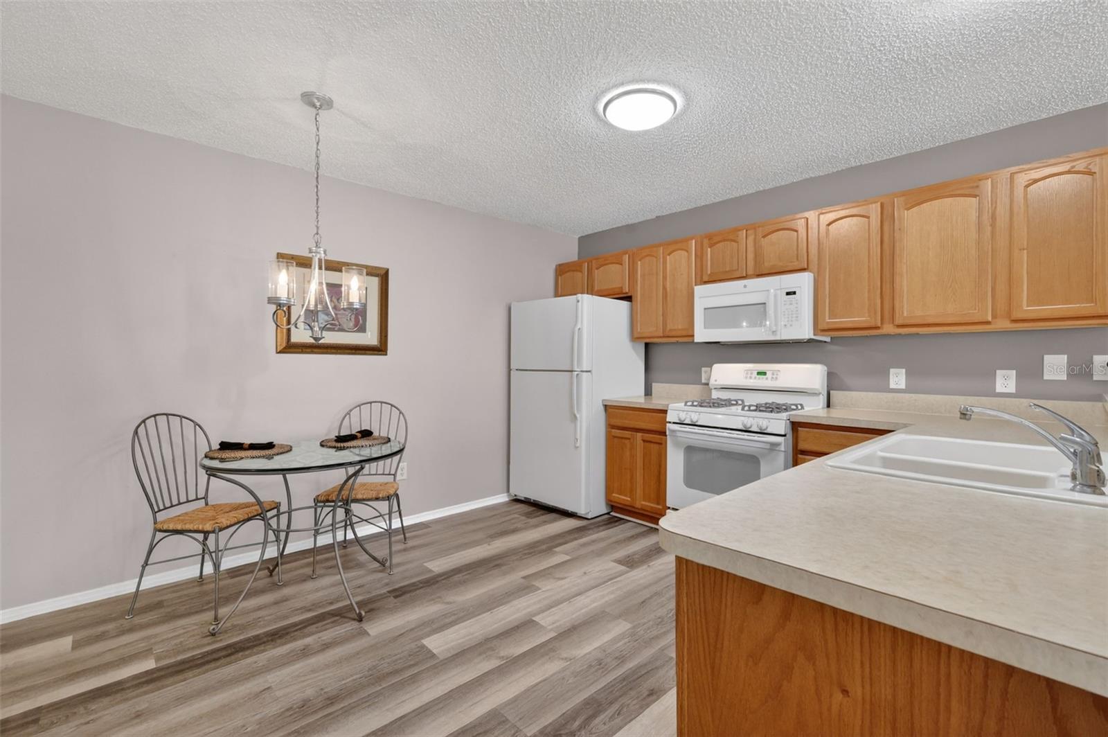 288 STARR LN, THE VILLAGES, FL, 32162