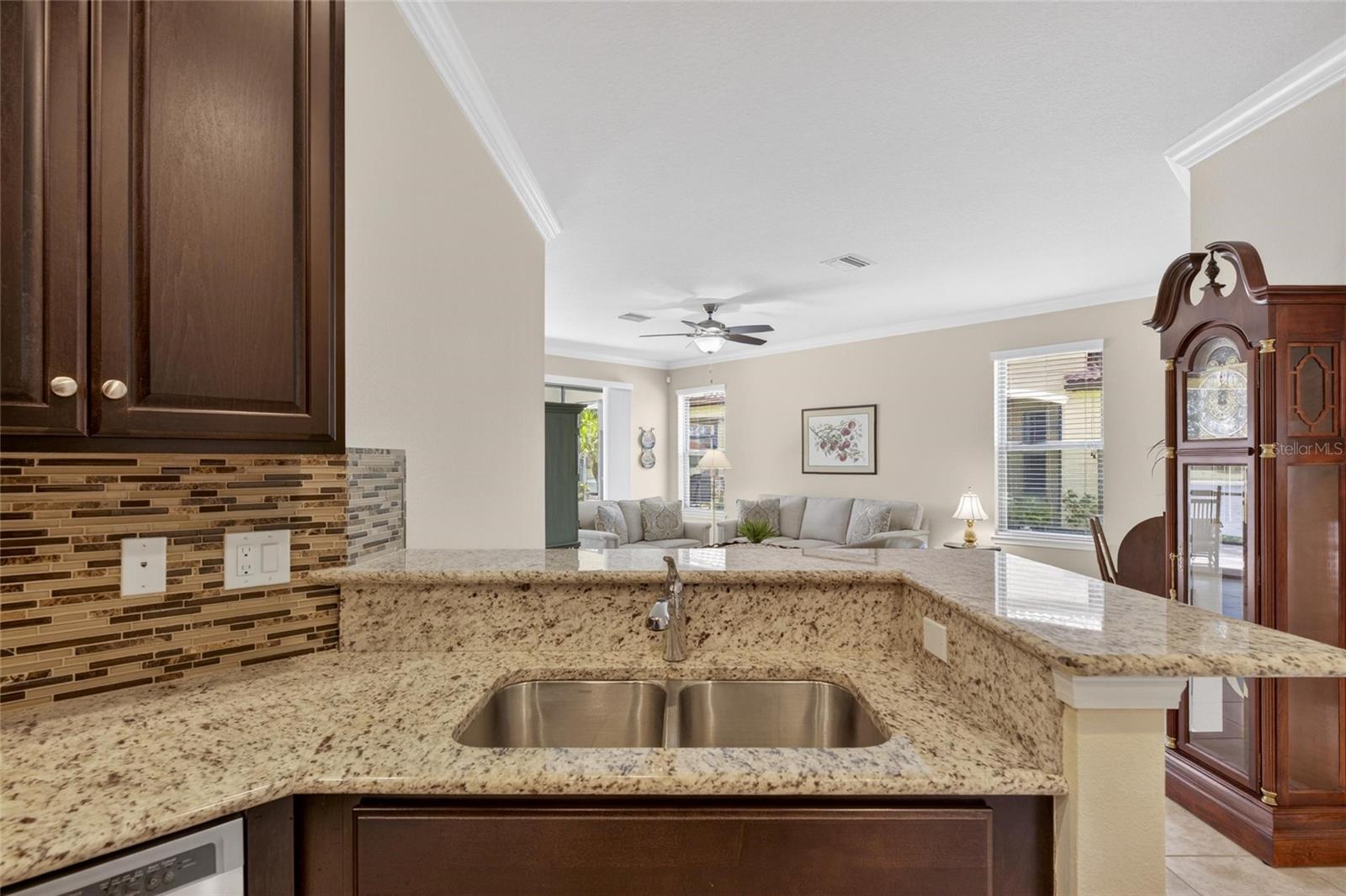 5474 SUNSET FALLS DR, APOLLO BEACH, FL, 33572
