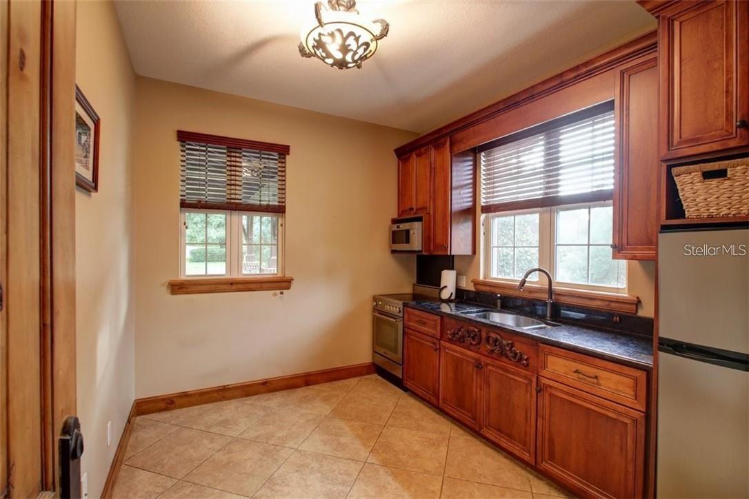 11410 TROTTING DOWN DR, ODESSA, FL, 33556