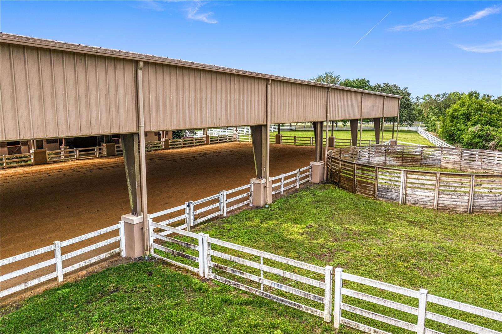 11410 TROTTING DOWN DR, ODESSA, FL, 33556