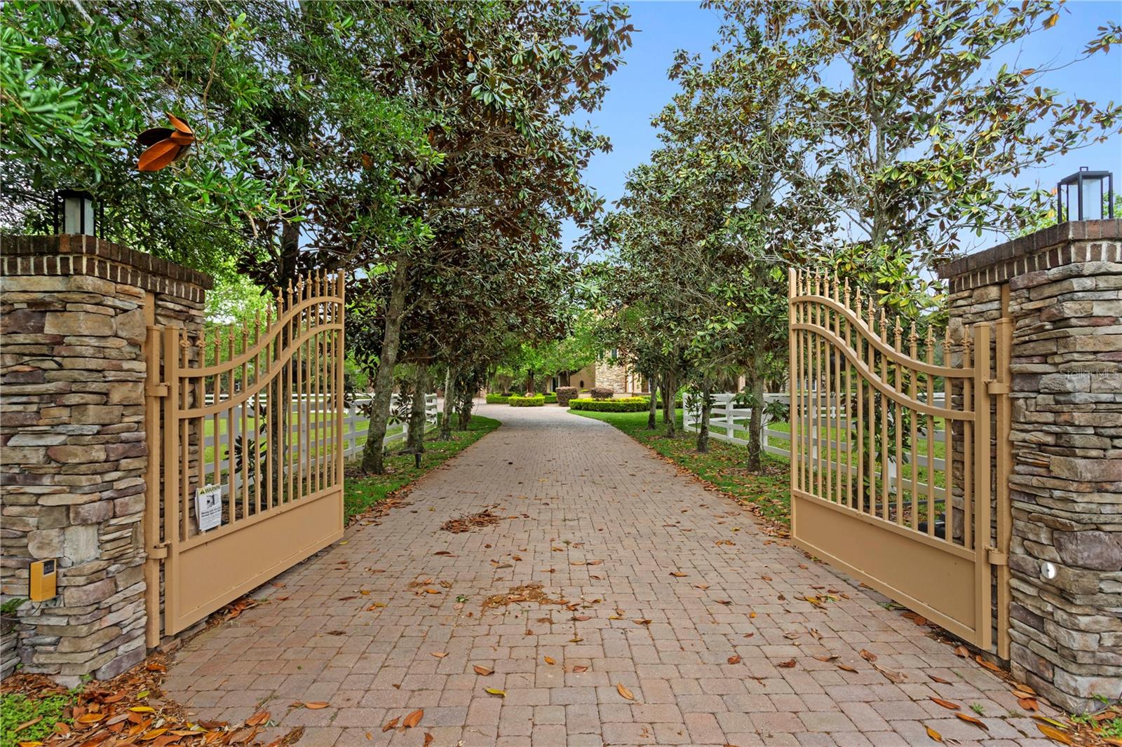 11410 TROTTING DOWN DR, ODESSA, FL, 33556