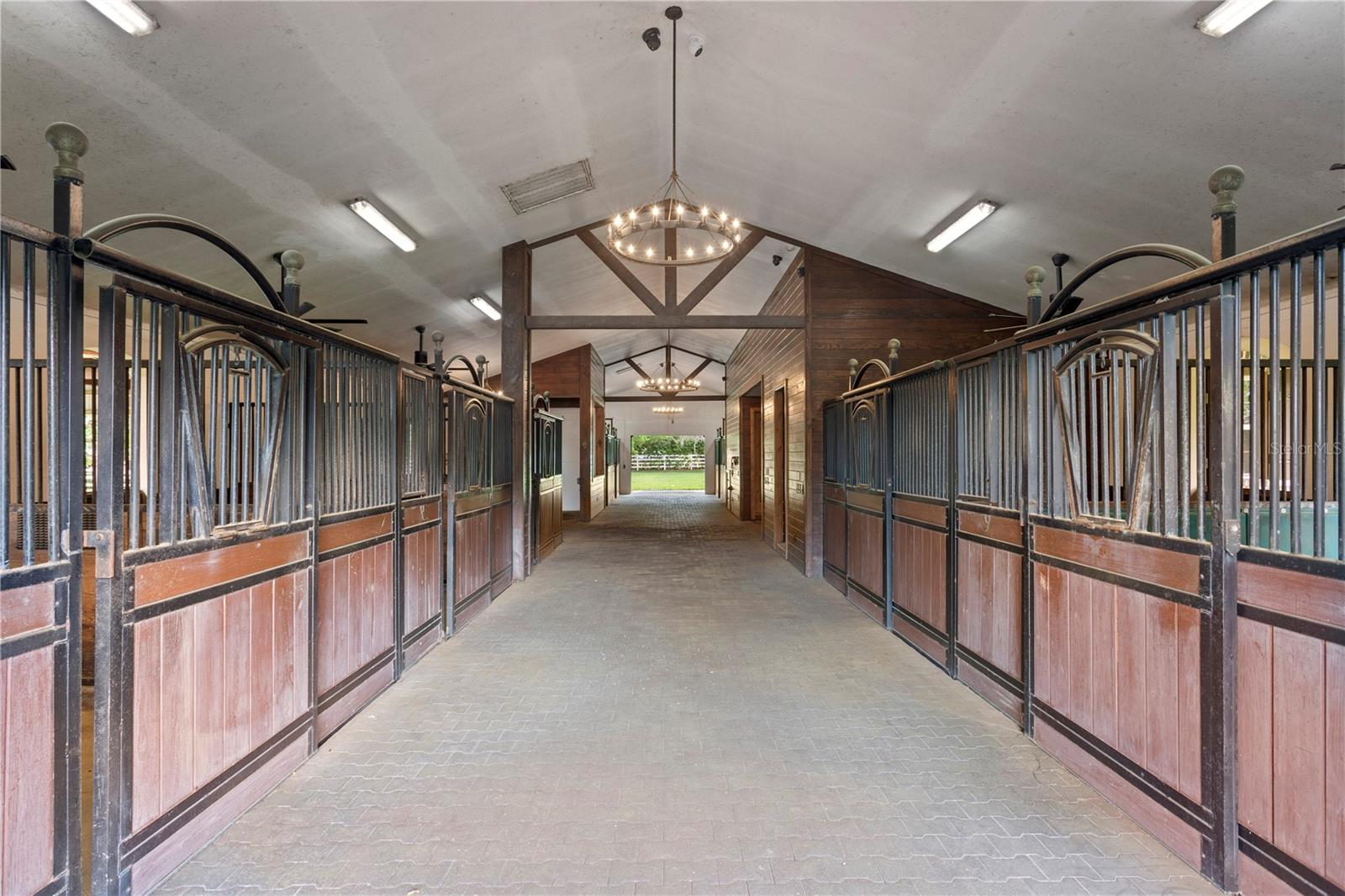 11410 TROTTING DOWN DR, ODESSA, FL, 33556