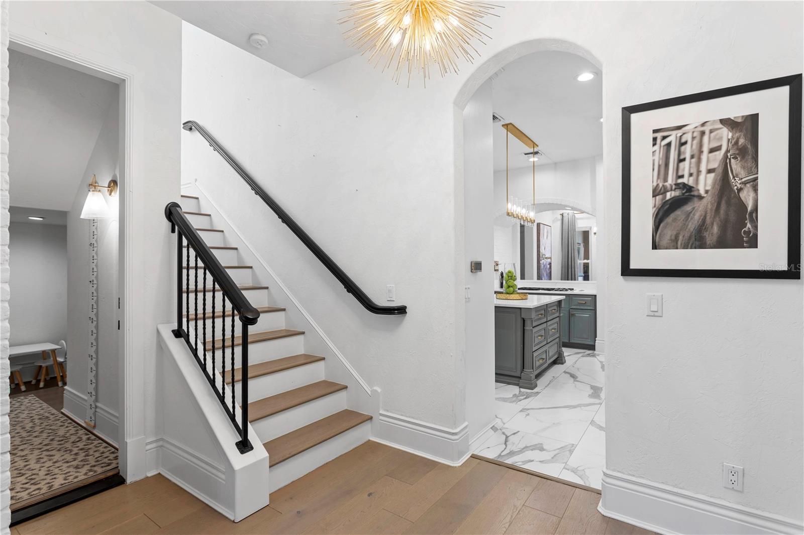 11410 TROTTING DOWN DR, ODESSA, FL, 33556