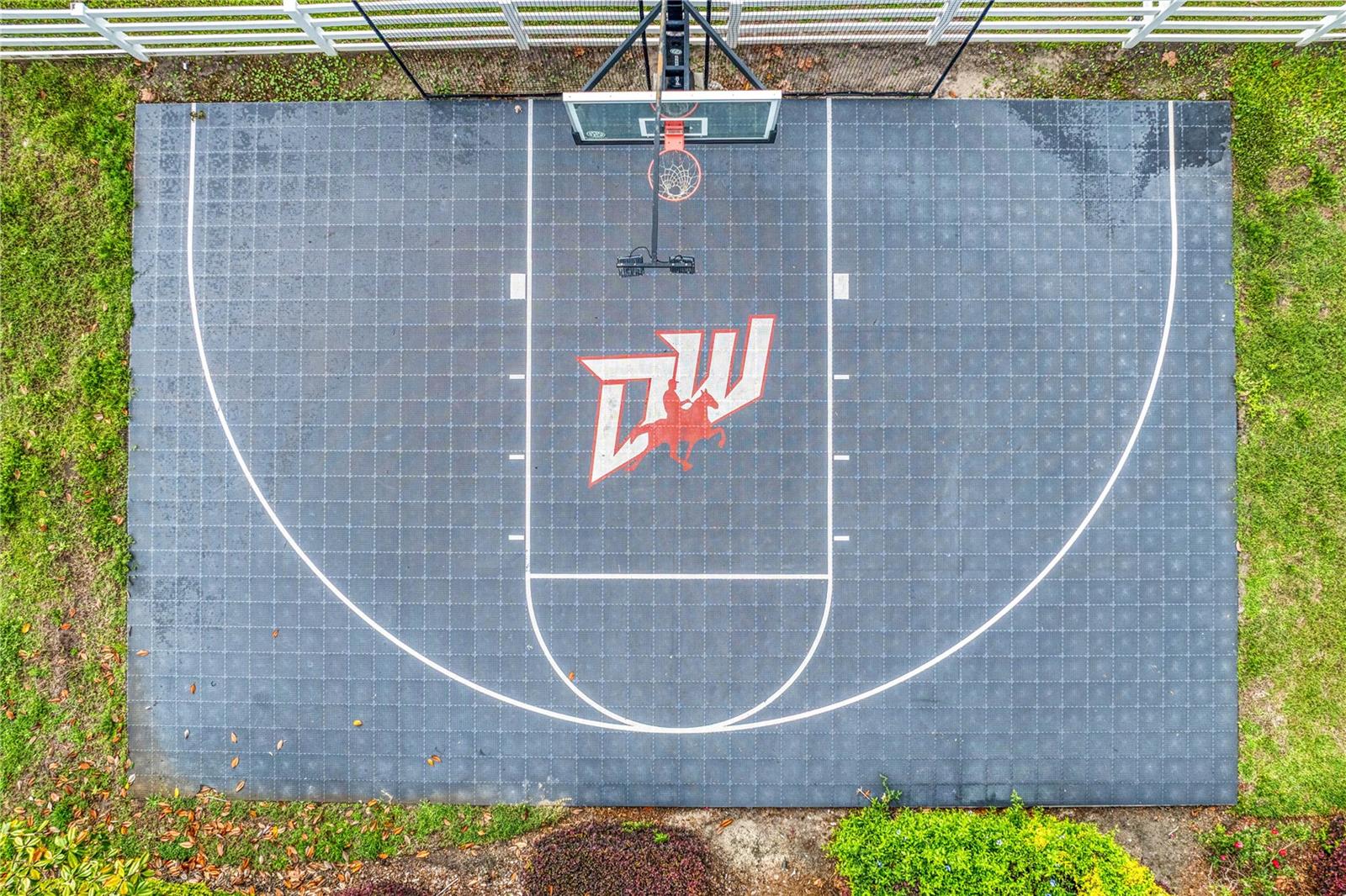 11410 TROTTING DOWN DR, ODESSA, FL, 33556