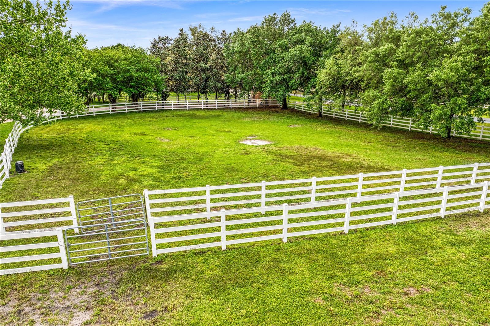 11410 TROTTING DOWN DR, ODESSA, FL, 33556