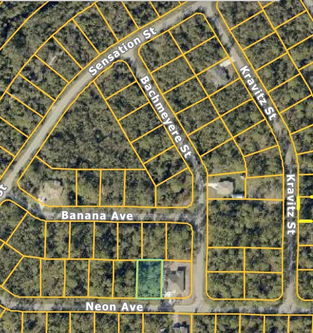 NEON AVE, NORTH PORT, FL, 34291