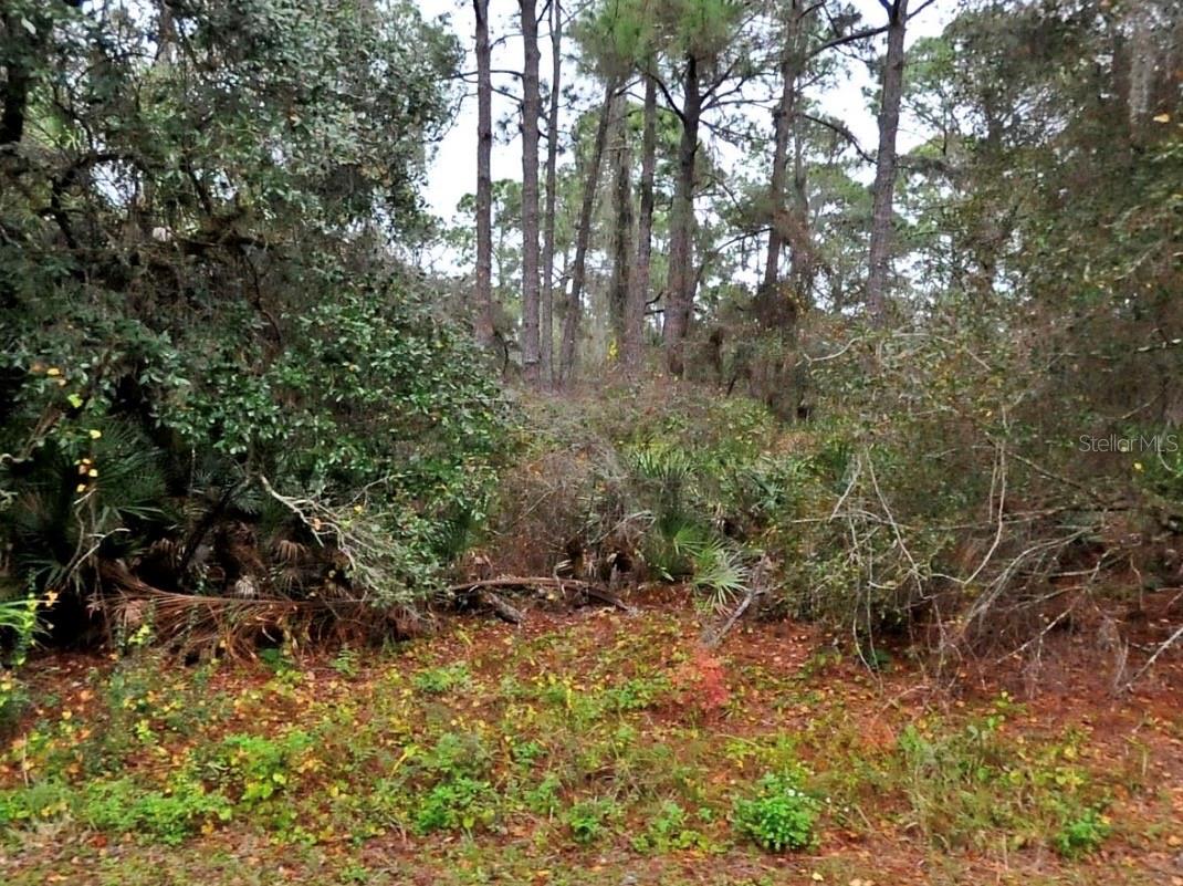 NEON AVE, NORTH PORT, FL, 34291