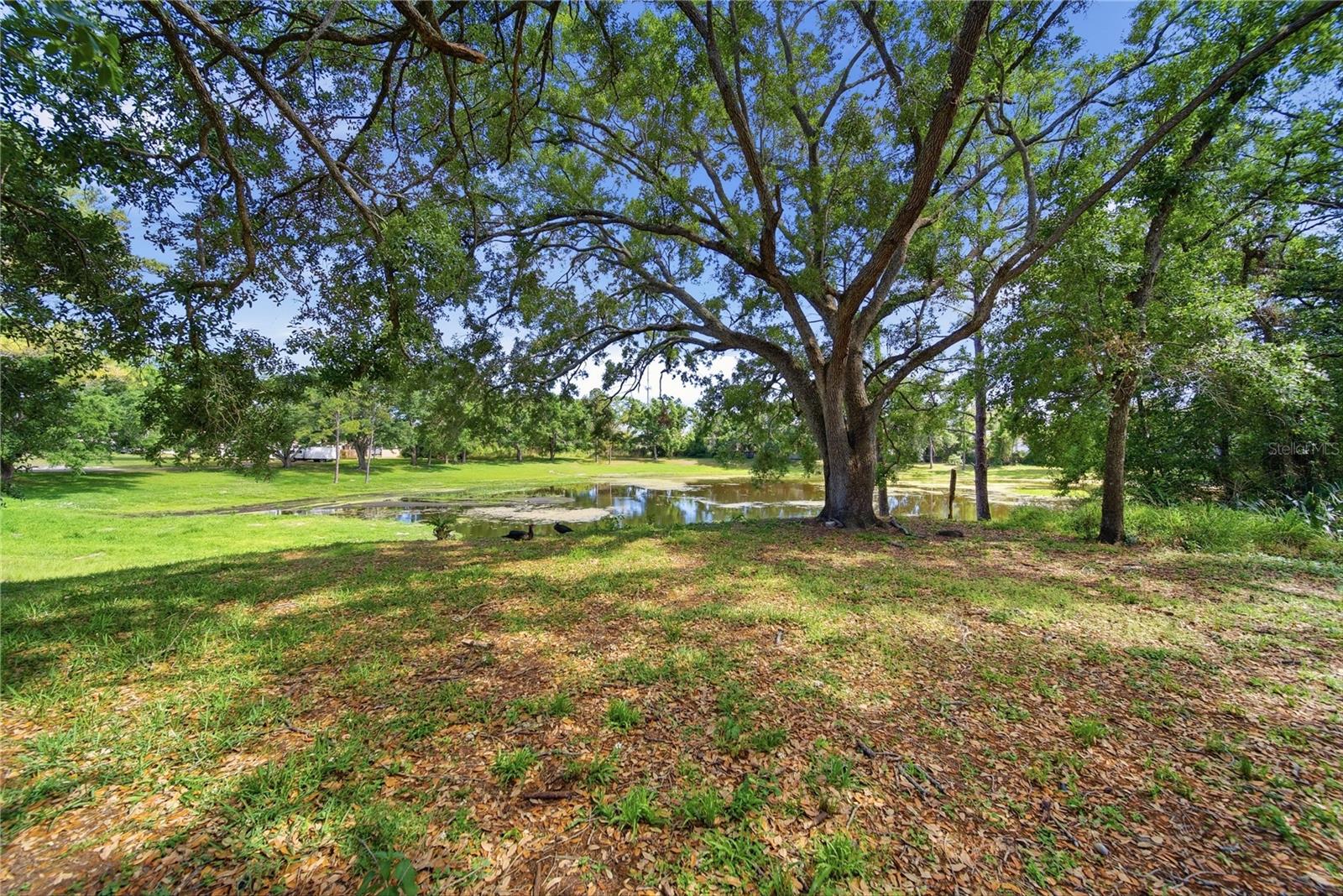 9505 TAKOMAH TRAIL, TAMPA, FL, 33617