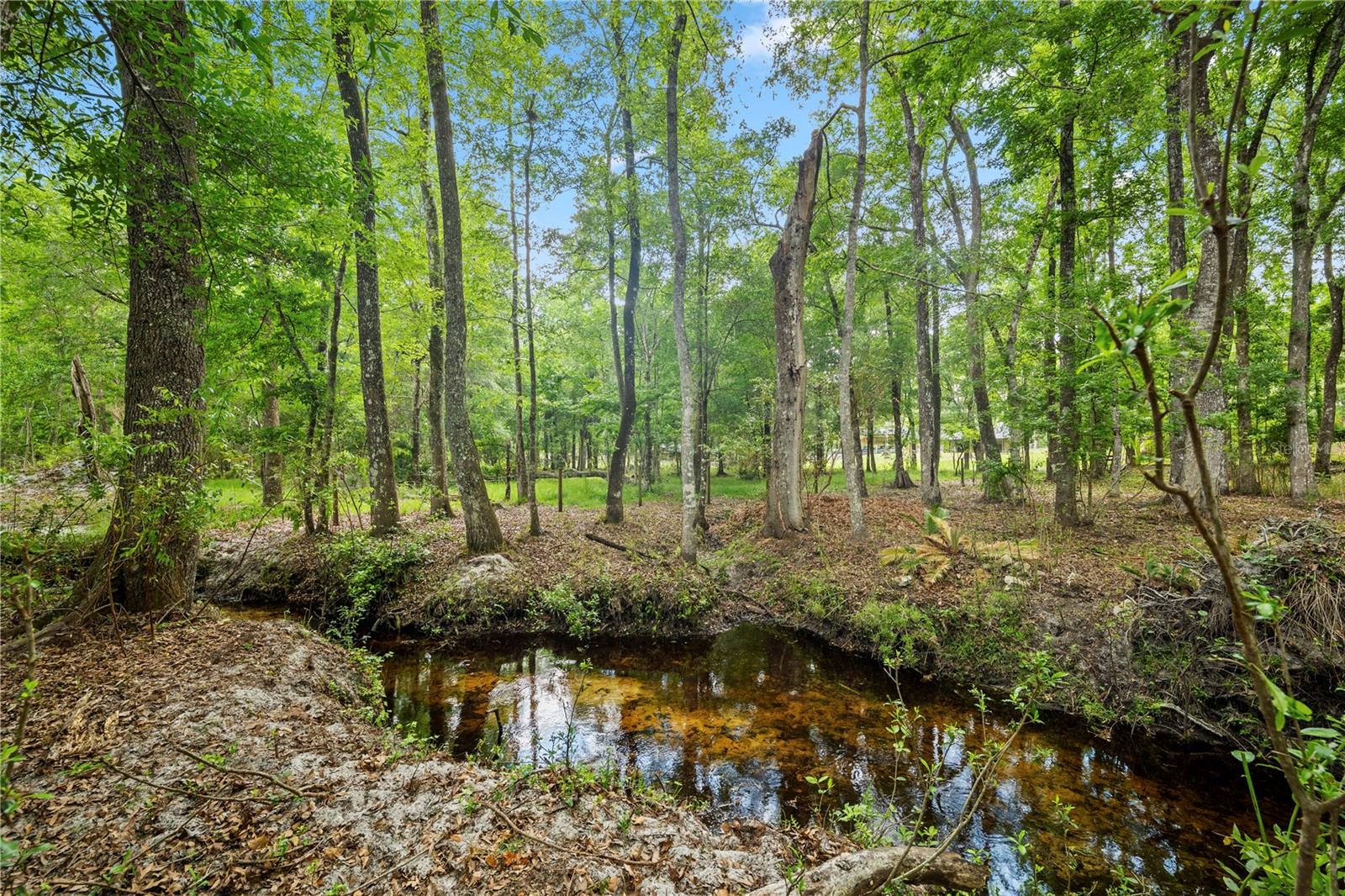 6967 SHARRON RD, GREEN COVE SPRINGS, FL, 32043