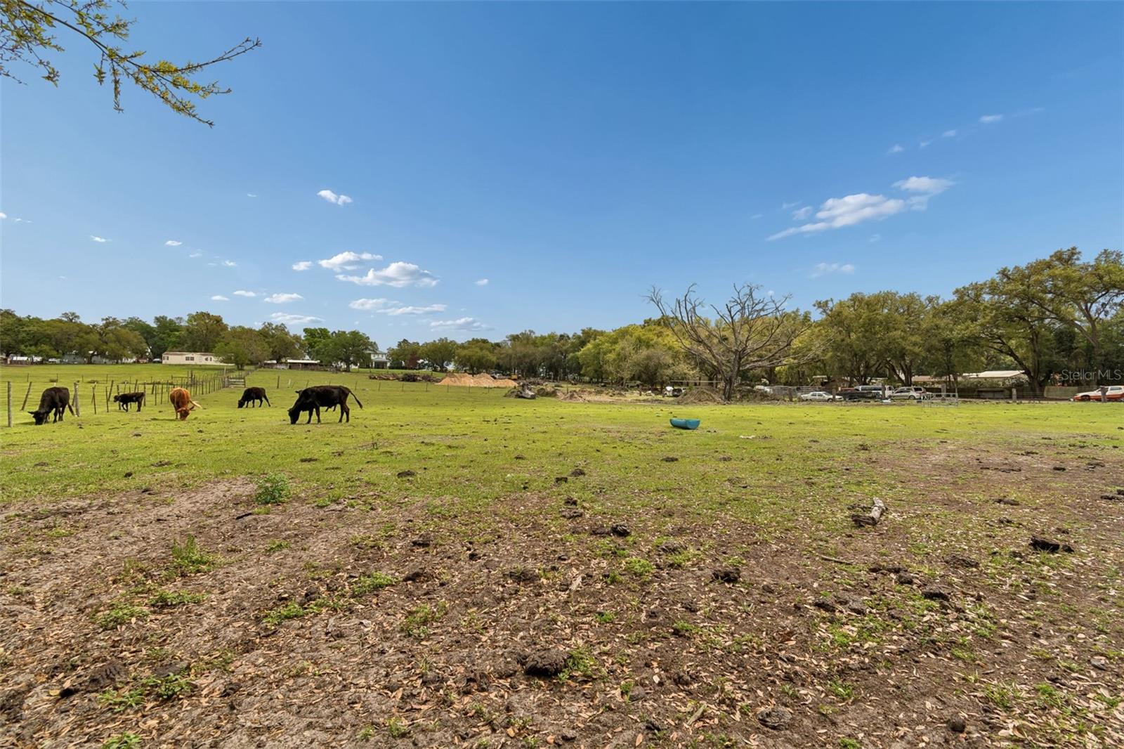 8302 WIRE RD, ZEPHYRHILLS, FL, 33540