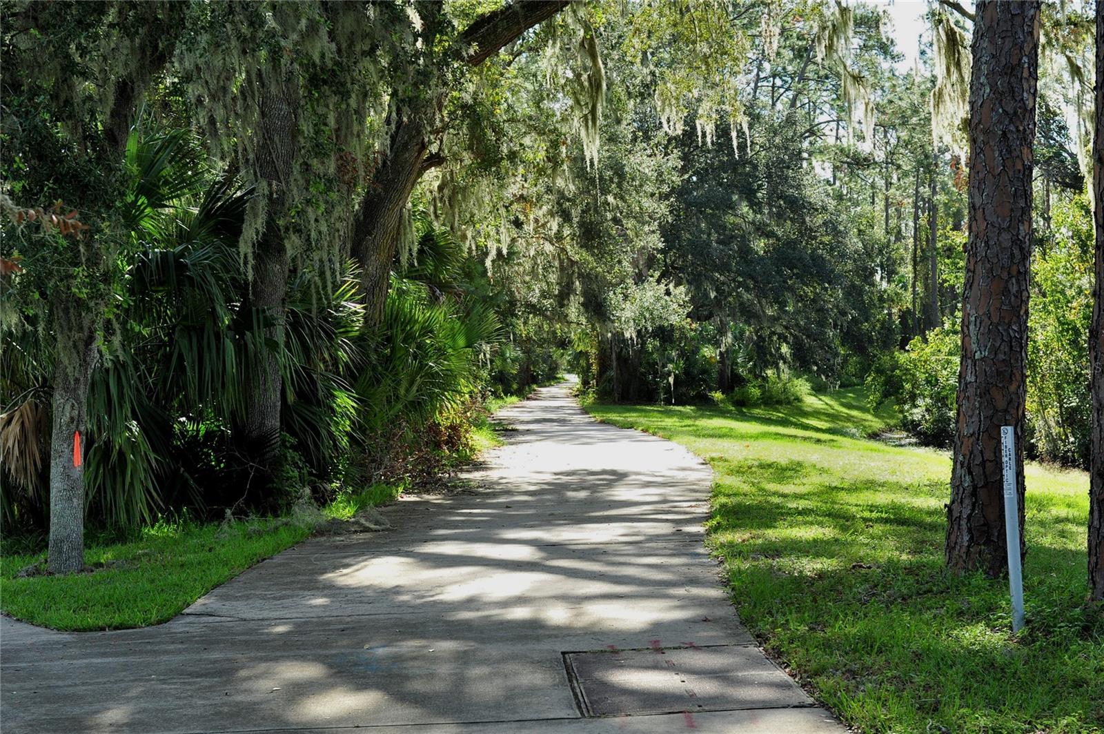 3431 TORRE BLVD, NEW SMYRNA BEACH, FL, 32168