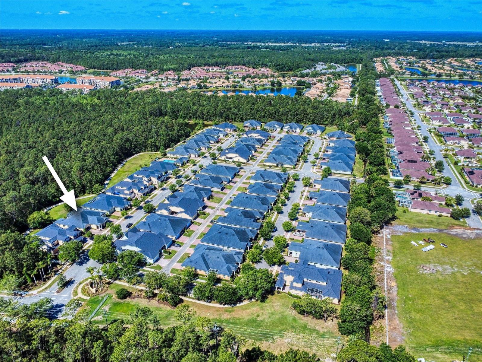 3431 TORRE BLVD, NEW SMYRNA BEACH, FL, 32168