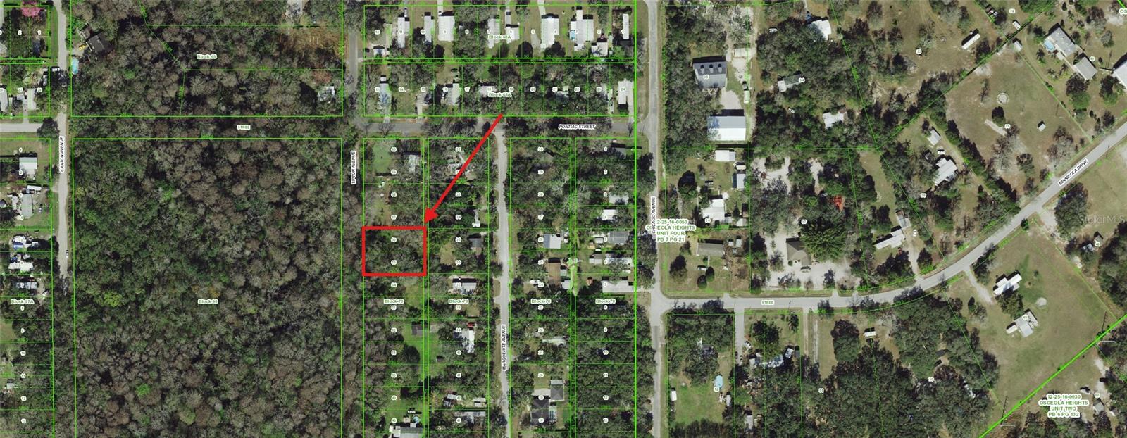 55 MARQUERITE AVE, NEW PORT RICHEY, FL, 34654