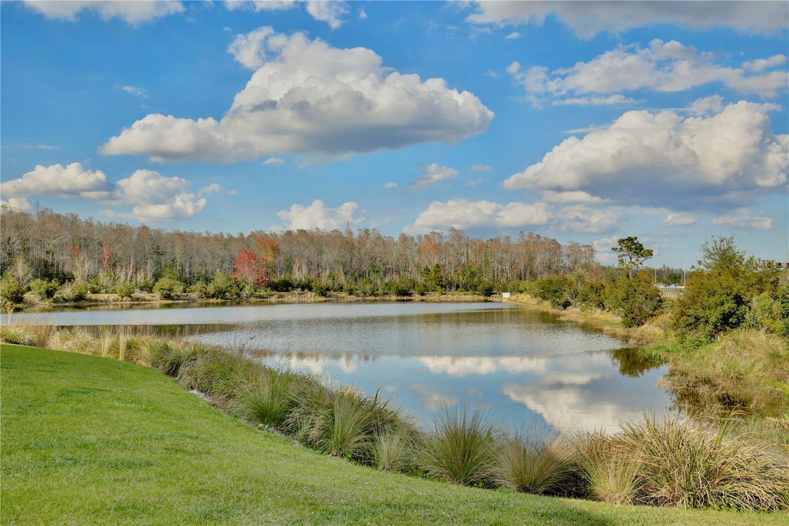 10025 EAGLE ROCK ALY, ORLANDO, FL, 32832