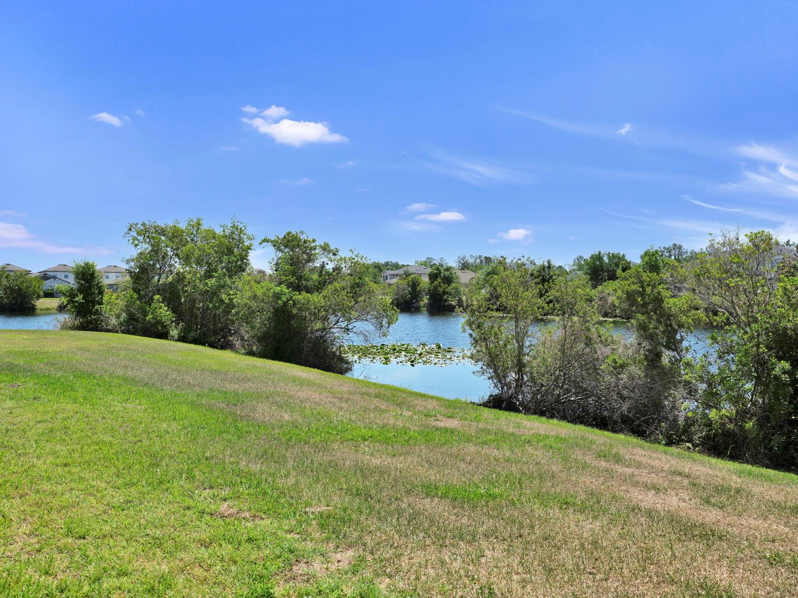 12317 BAY ESTUARY BND, RIVERVIEW, FL, 33579