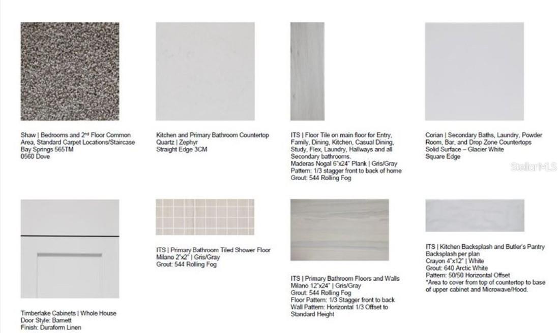 3896 IMMACOLATA WAY, WESLEY CHAPEL, FL, 33543