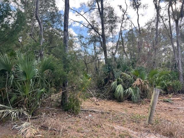 65 SE 153 AVE, OLD TOWN, FL, 32680