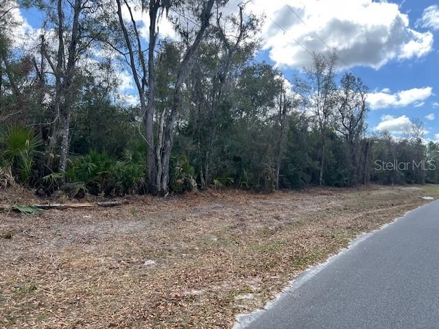 65 SE 153 AVE, OLD TOWN, FL, 32680