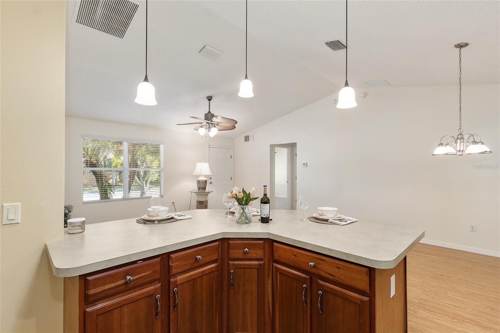 2588 ENGLISH IVY CIR, THE VILLAGES, FL, 32162