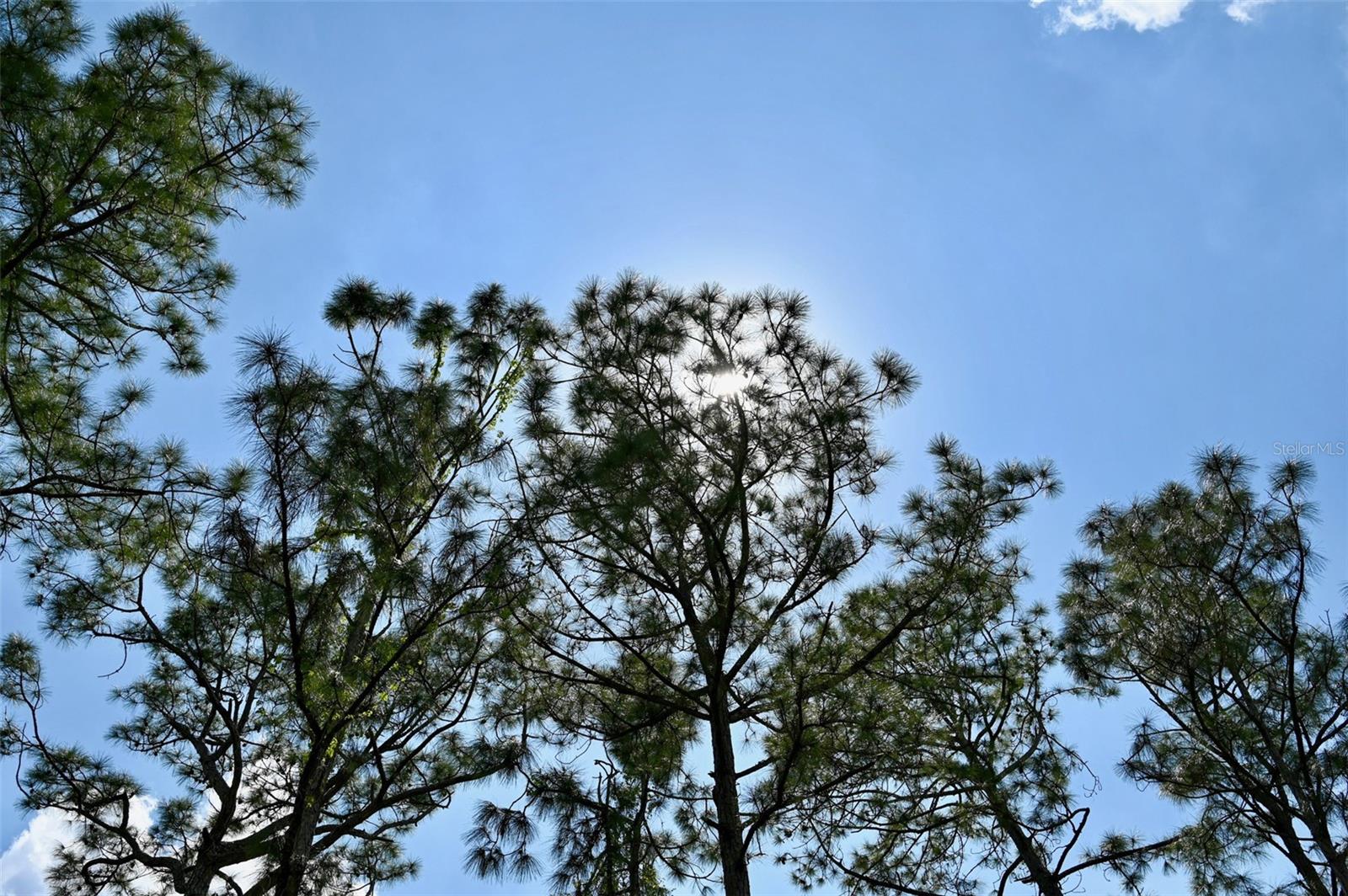 GREENLEY RD, NORTH PORT, FL, 34286