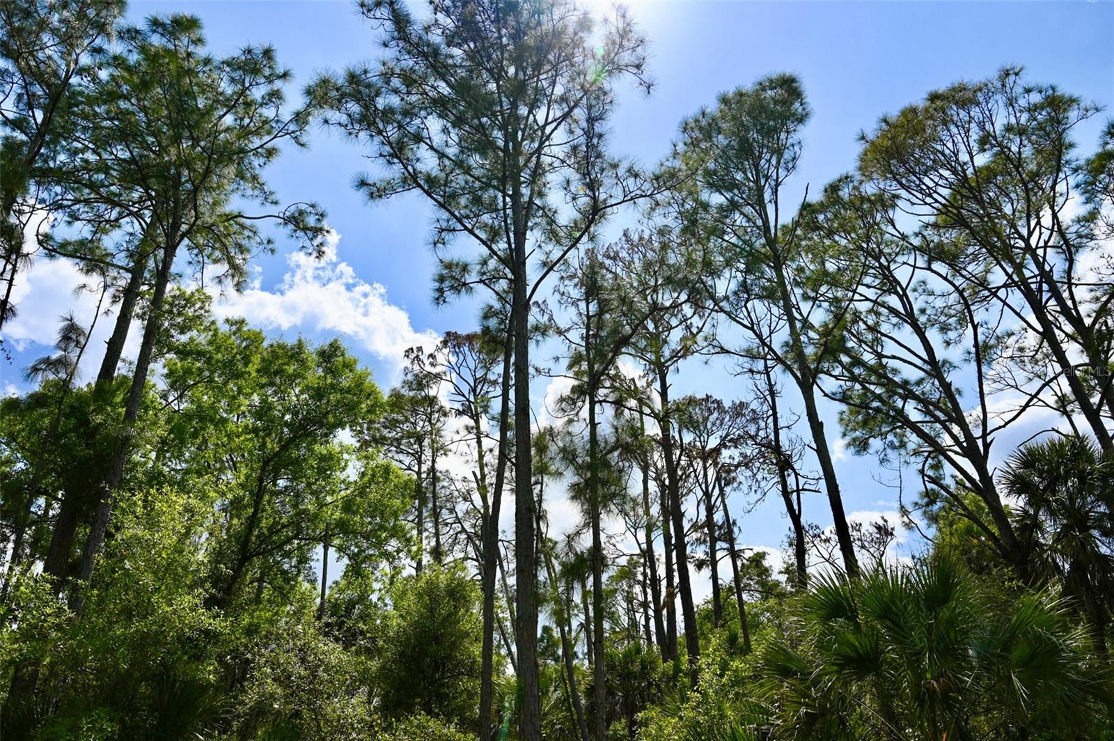 GREENLEY RD, NORTH PORT, FL, 34286