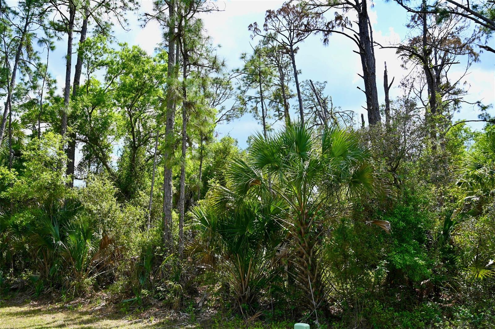 GREENLEY RD, NORTH PORT, FL, 34286