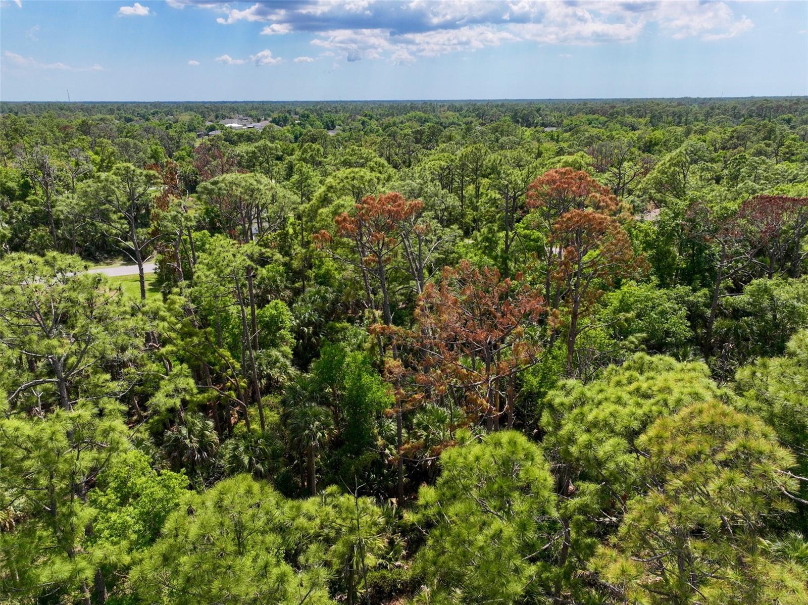 GREENLEY RD, NORTH PORT, FL, 34286