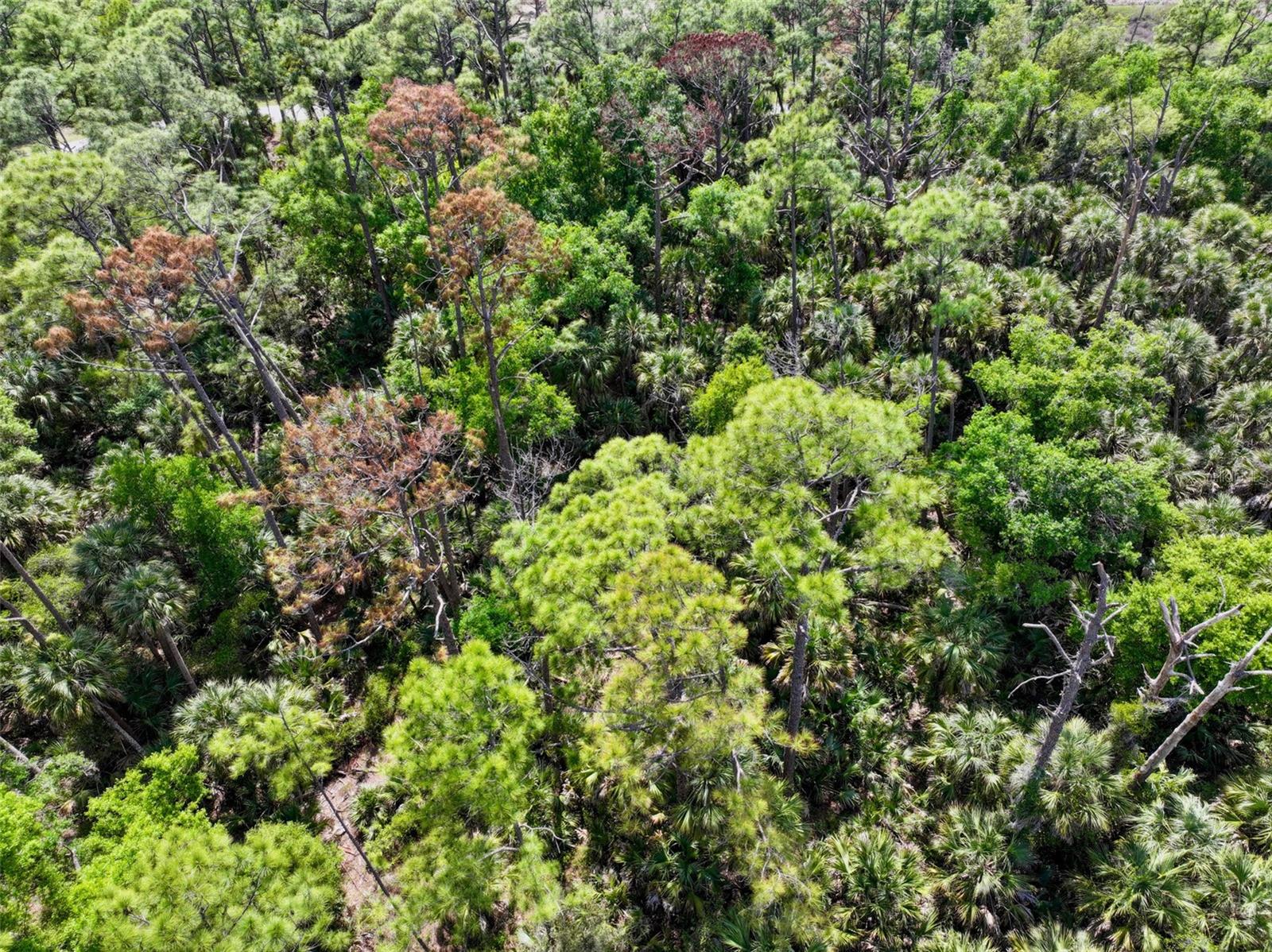 GREENLEY RD, NORTH PORT, FL, 34286