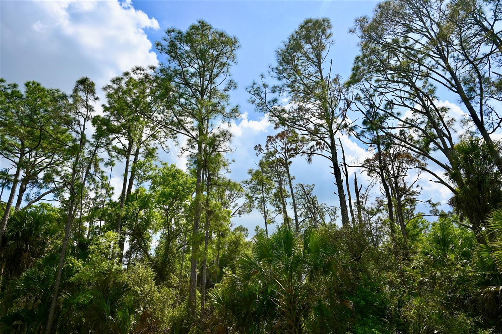 GREENLEY RD, NORTH PORT, FL, 34286