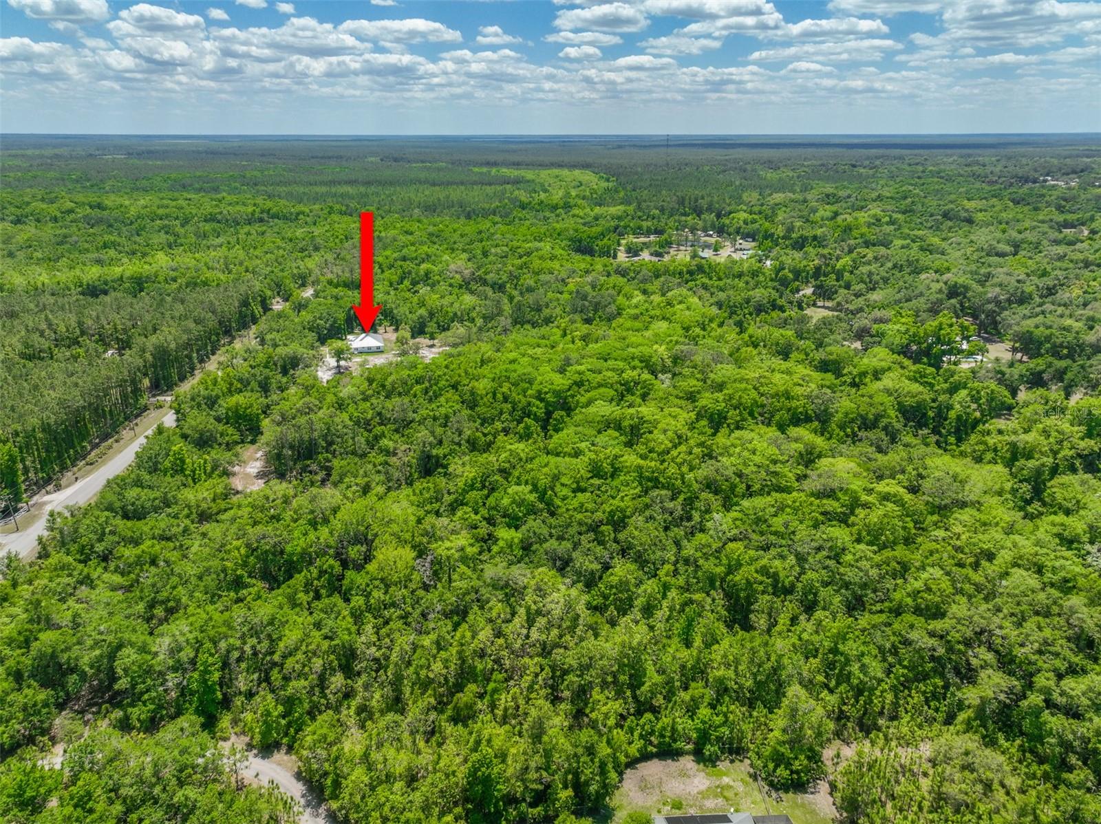 1370 BUCKLES RD, PIERSON, FL, 32180