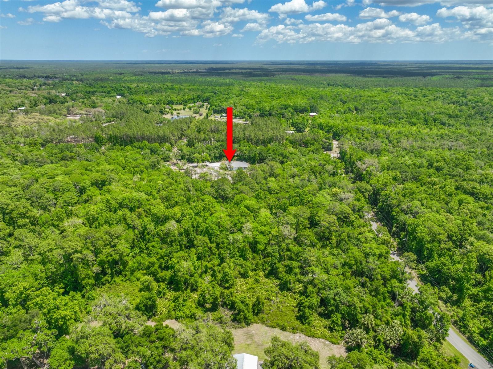 1370 BUCKLES RD, PIERSON, FL, 32180