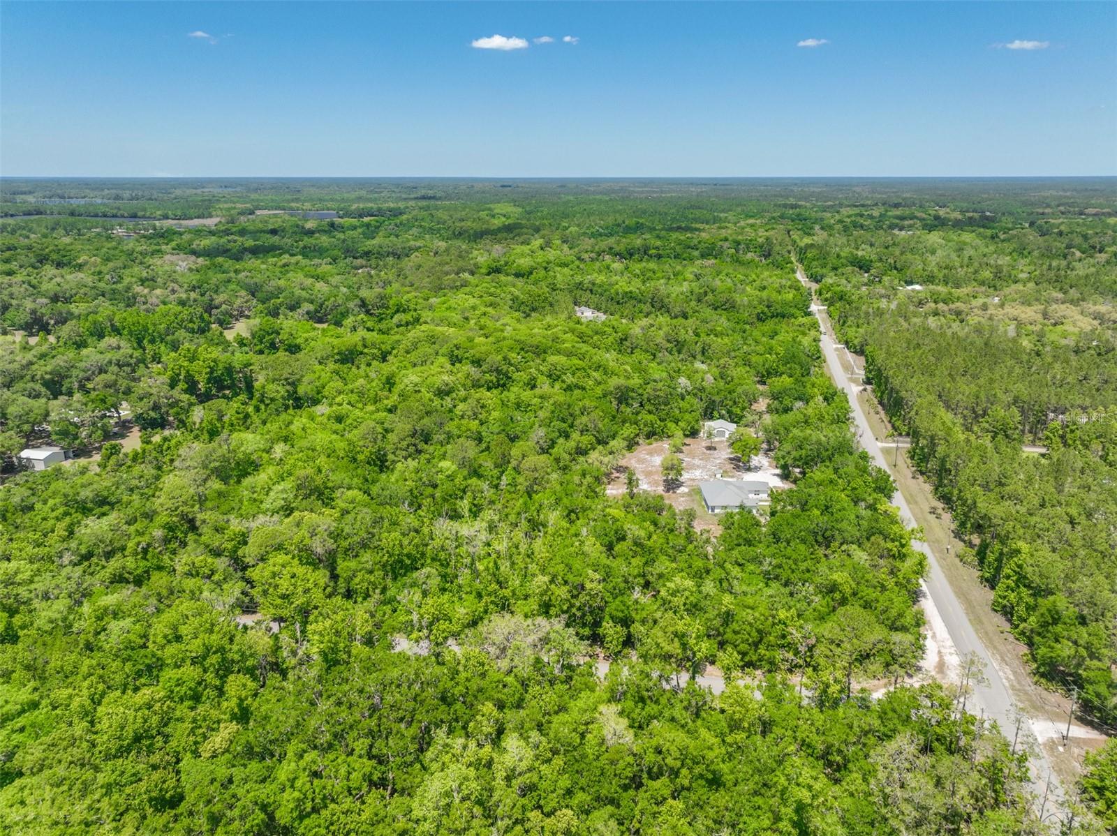 1370 BUCKLES RD, PIERSON, FL, 32180