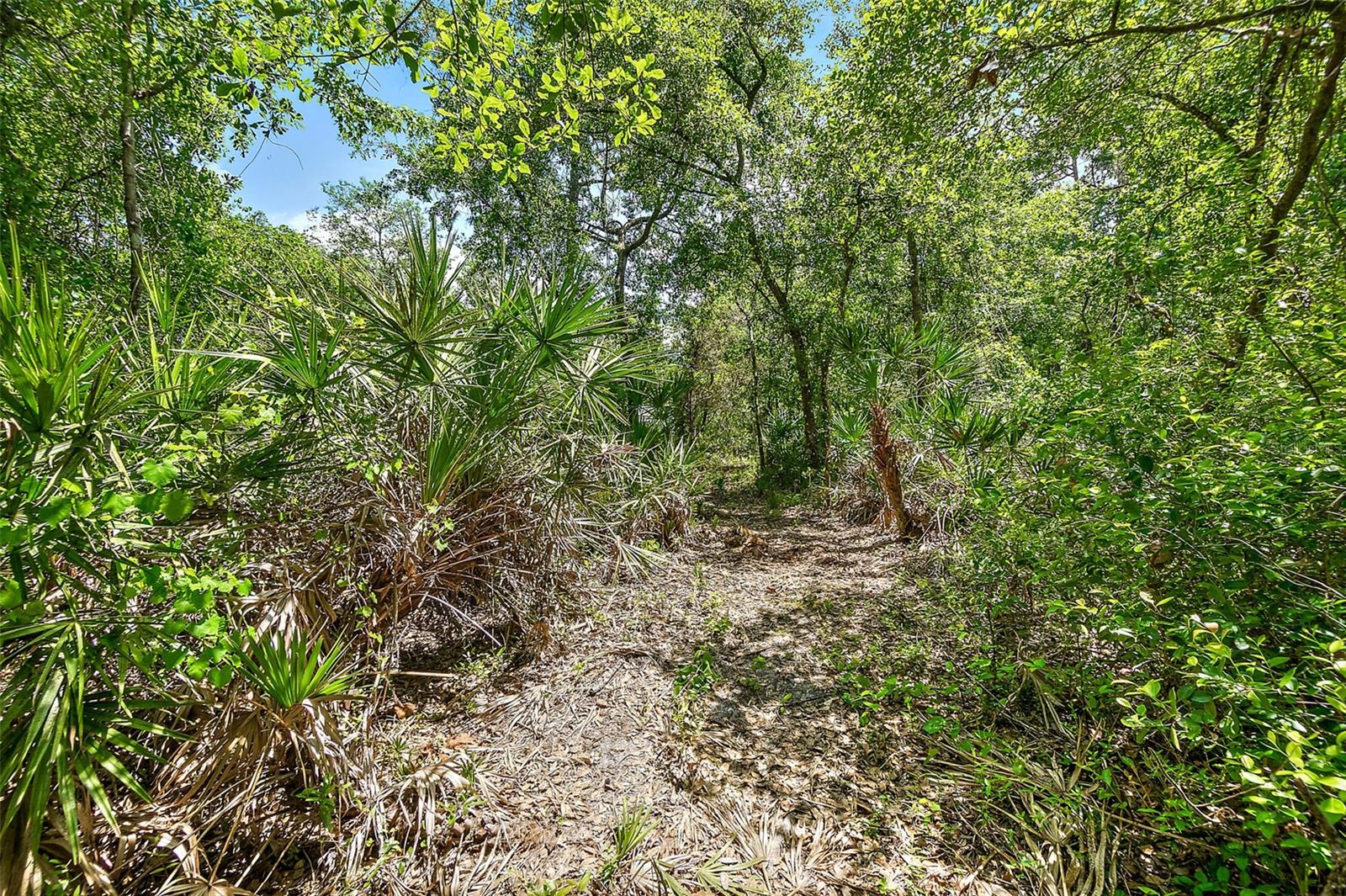 1370 BUCKLES RD, PIERSON, FL, 32180