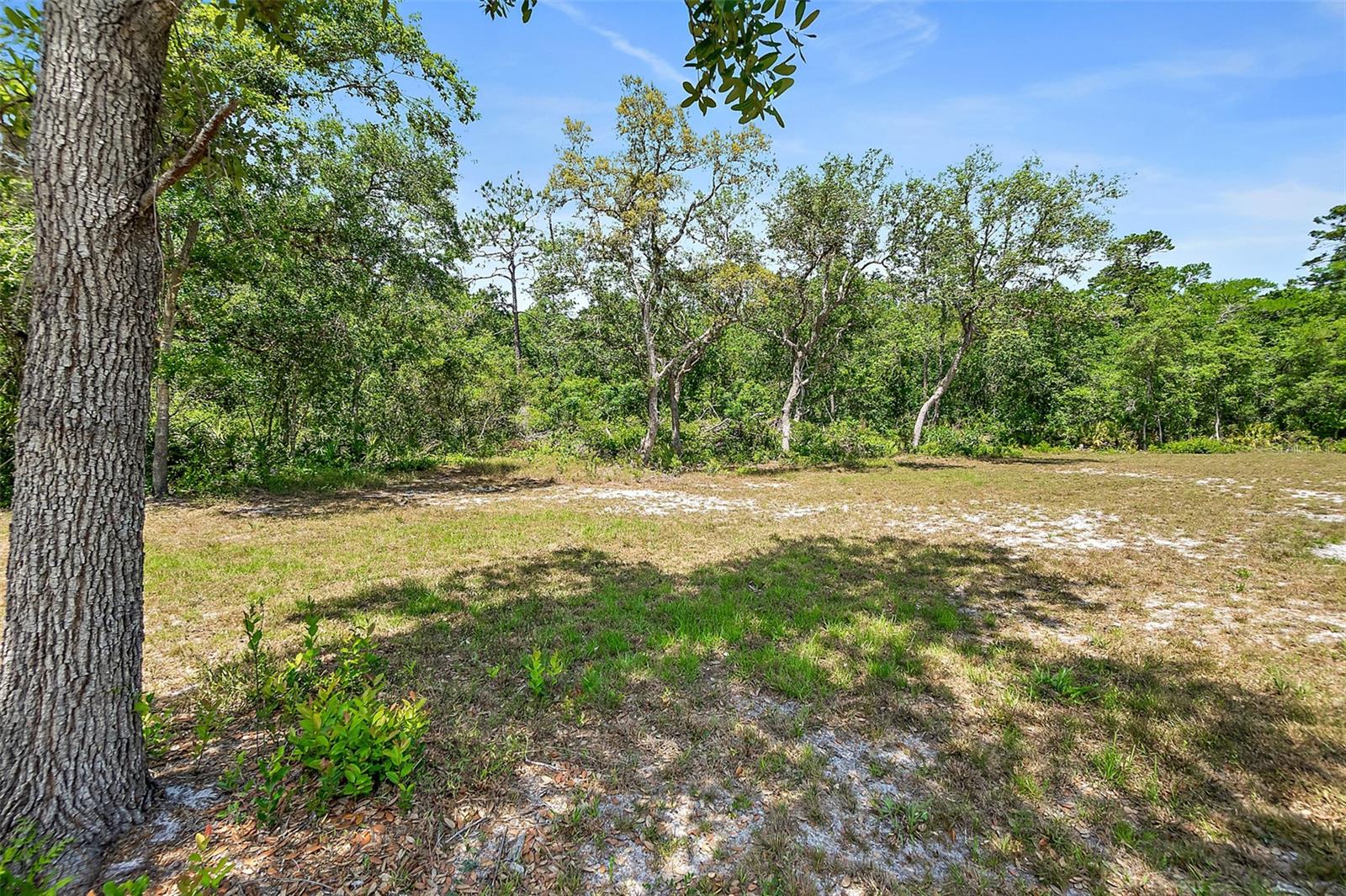 1370 BUCKLES RD, PIERSON, FL, 32180