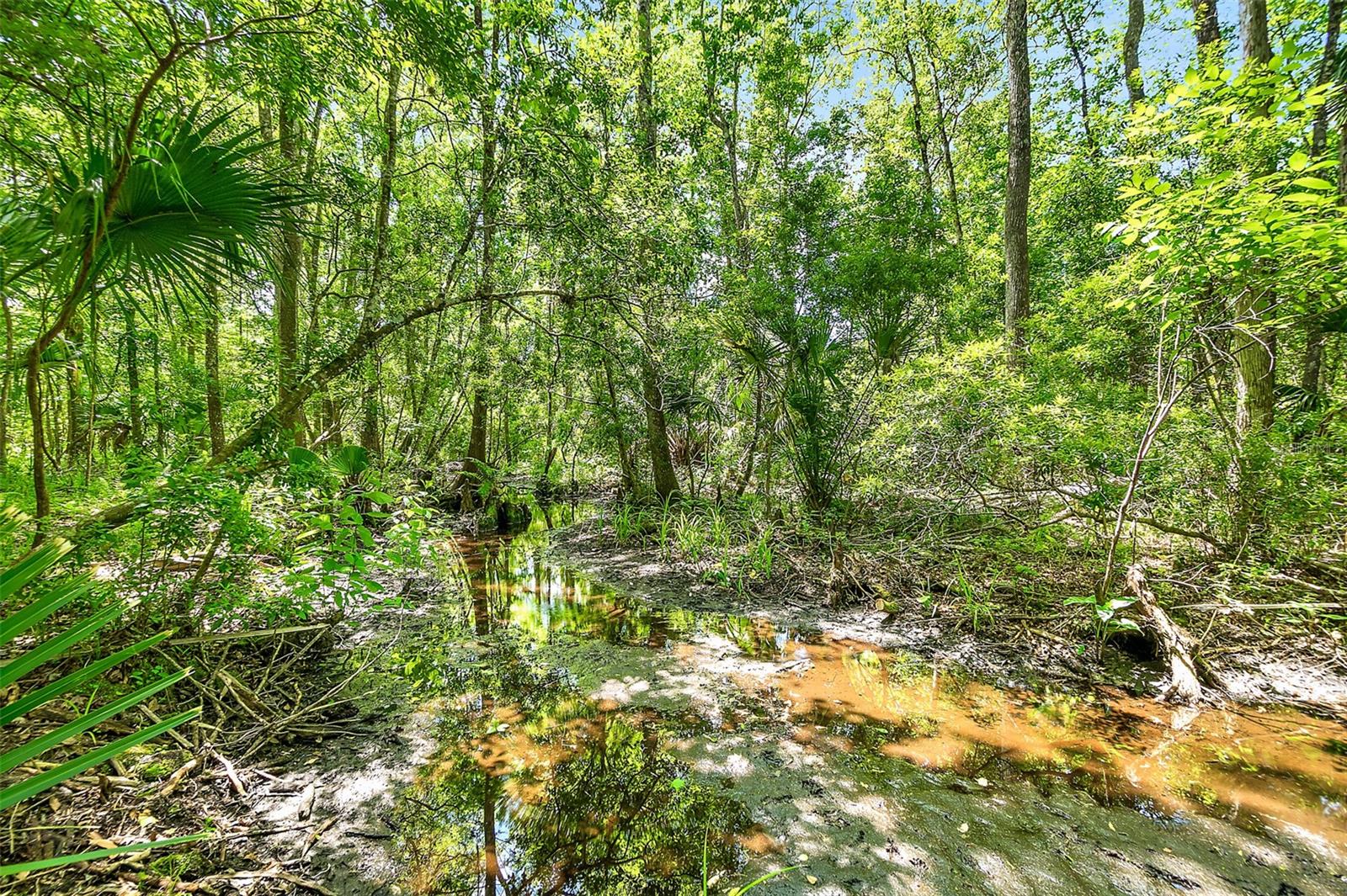 1370 BUCKLES RD, PIERSON, FL, 32180