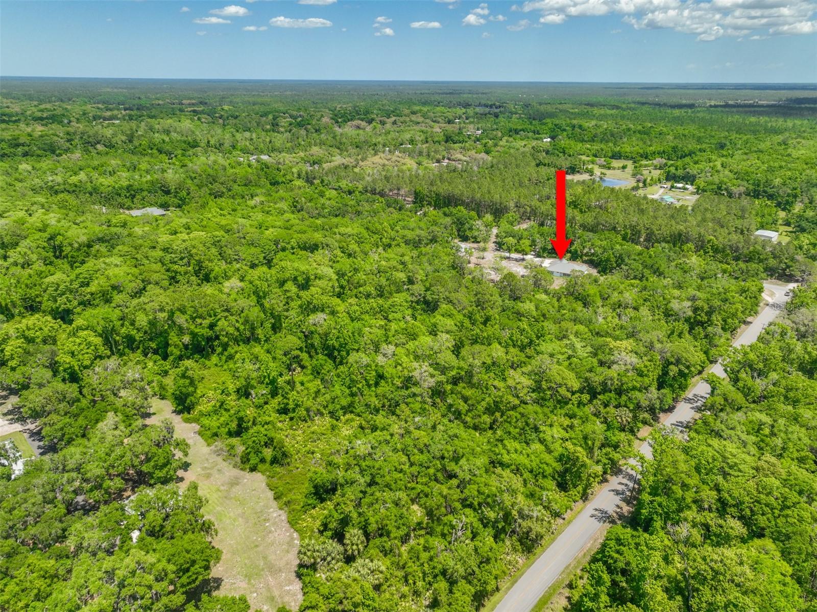 1370 BUCKLES RD, PIERSON, FL, 32180