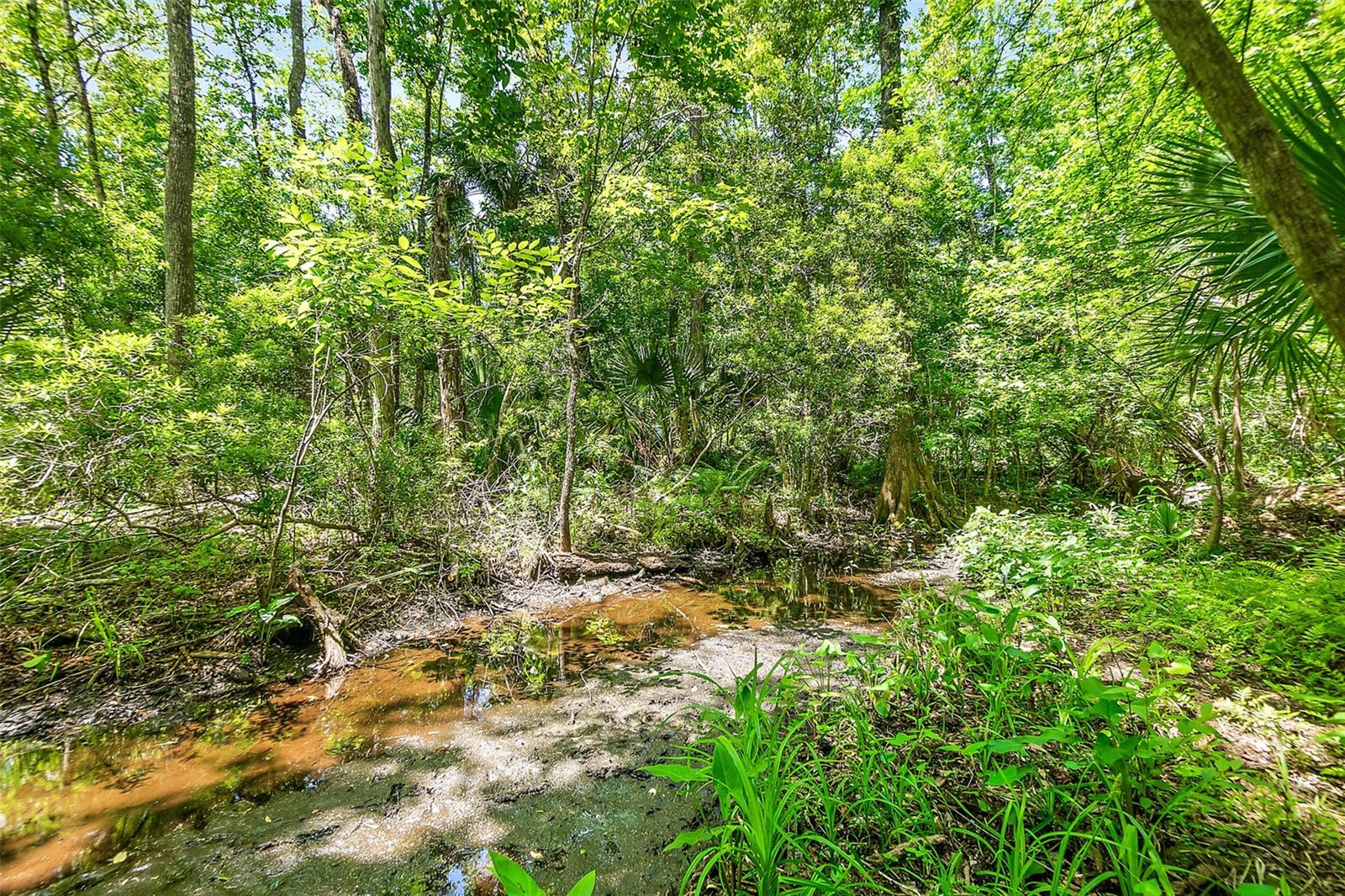 1370 BUCKLES RD, PIERSON, FL, 32180