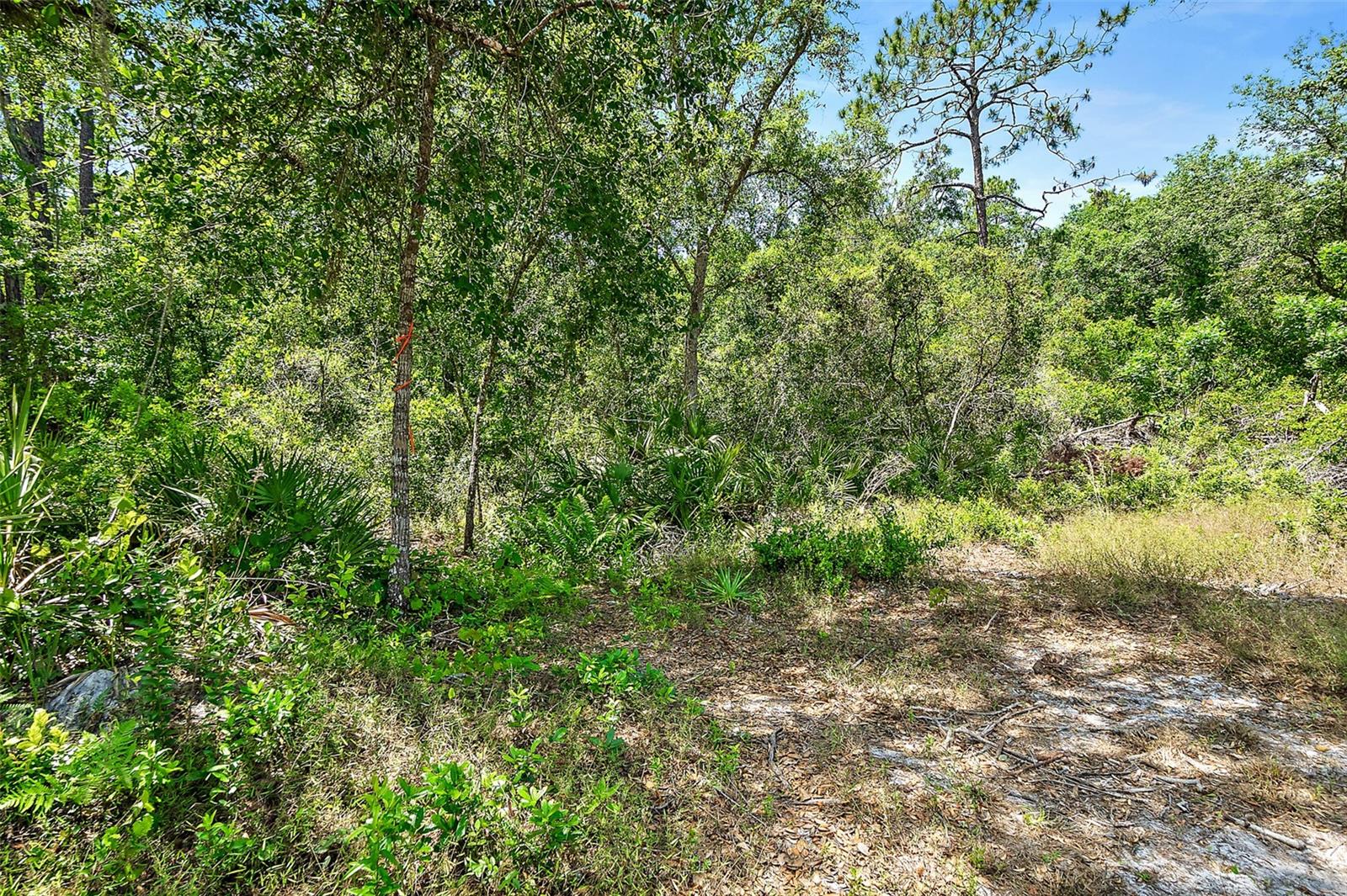 1370 BUCKLES RD, PIERSON, FL, 32180