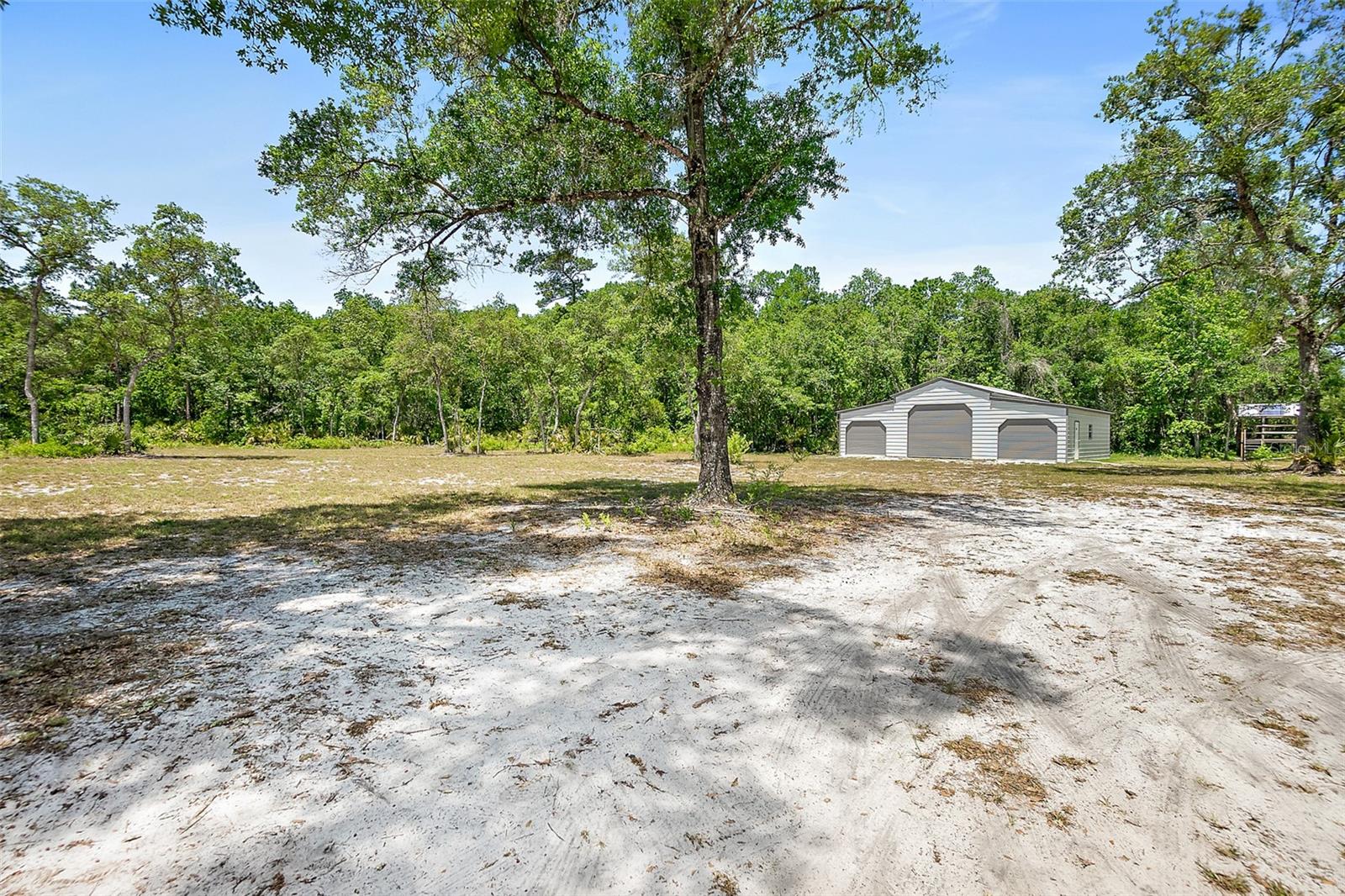 1370 BUCKLES RD, PIERSON, FL, 32180