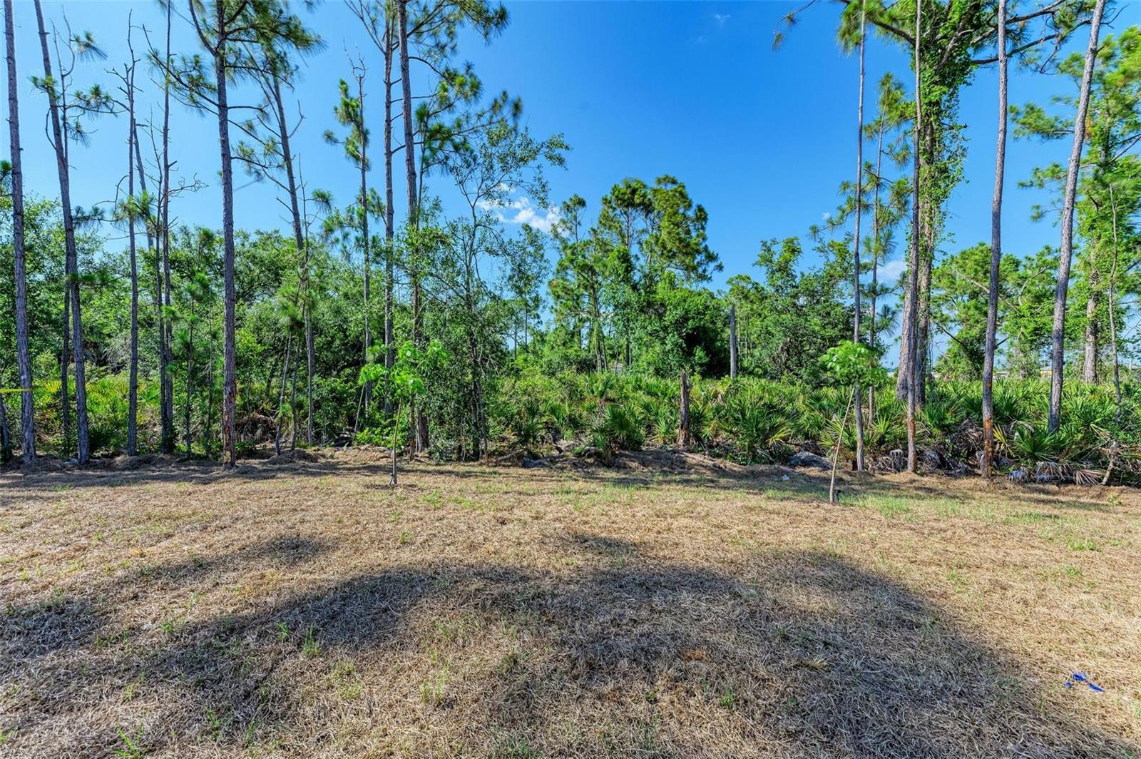 23444 STEEPLE AVE, PORT CHARLOTTE, FL, 33980