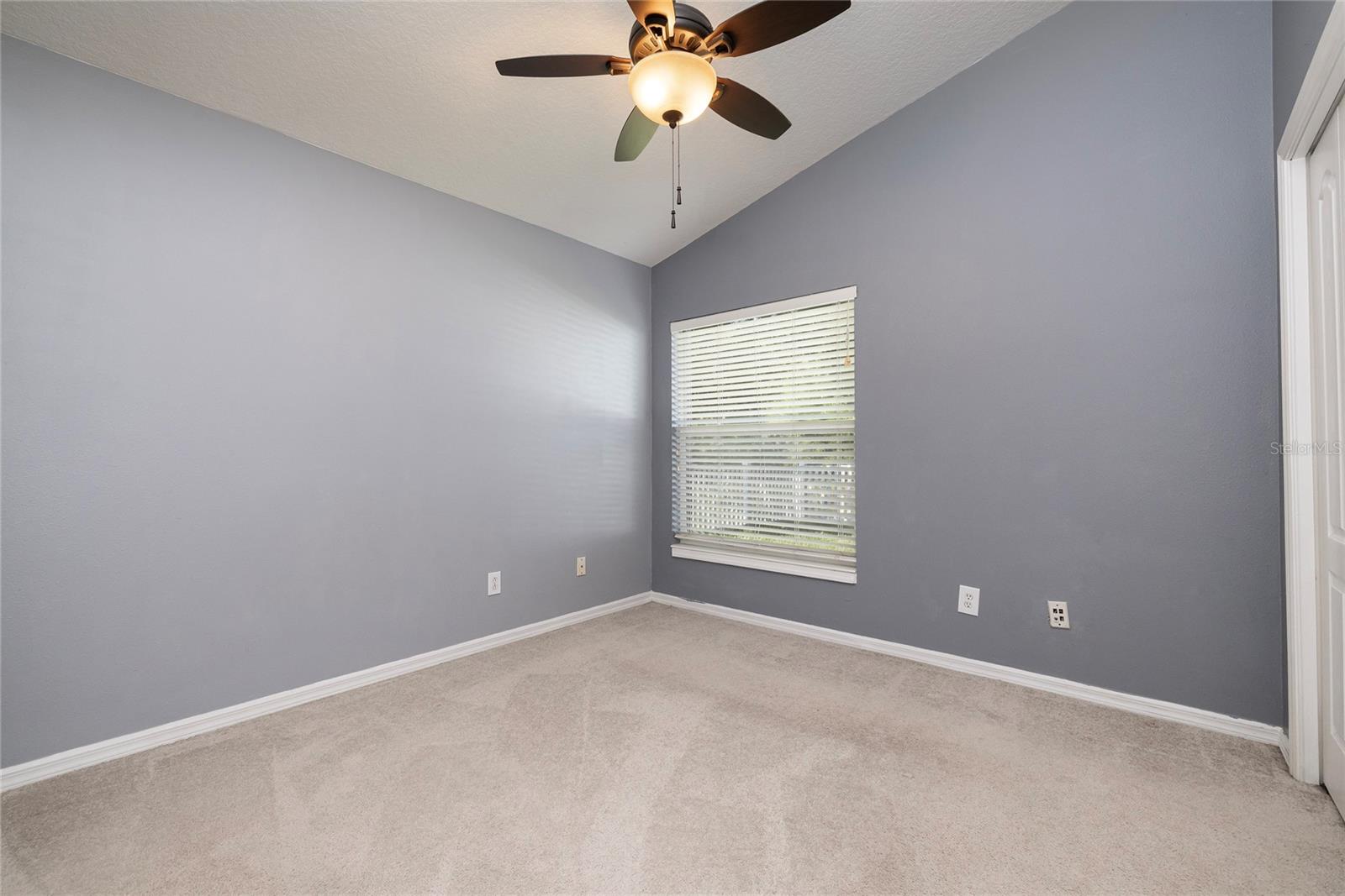 219 BAY ARBOR BLVD, OLDSMAR, FL, 34677