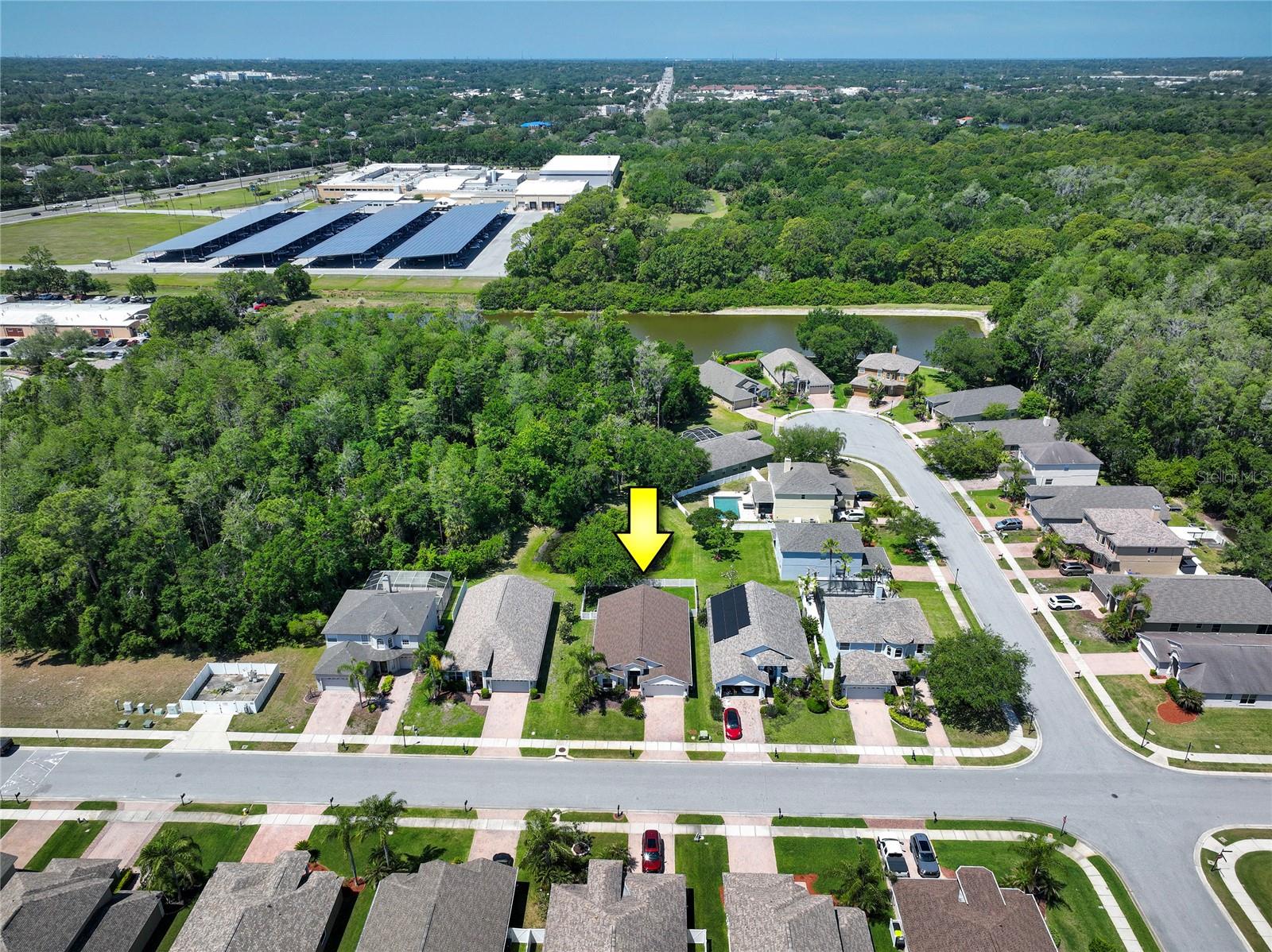 219 BAY ARBOR BLVD, OLDSMAR, FL, 34677