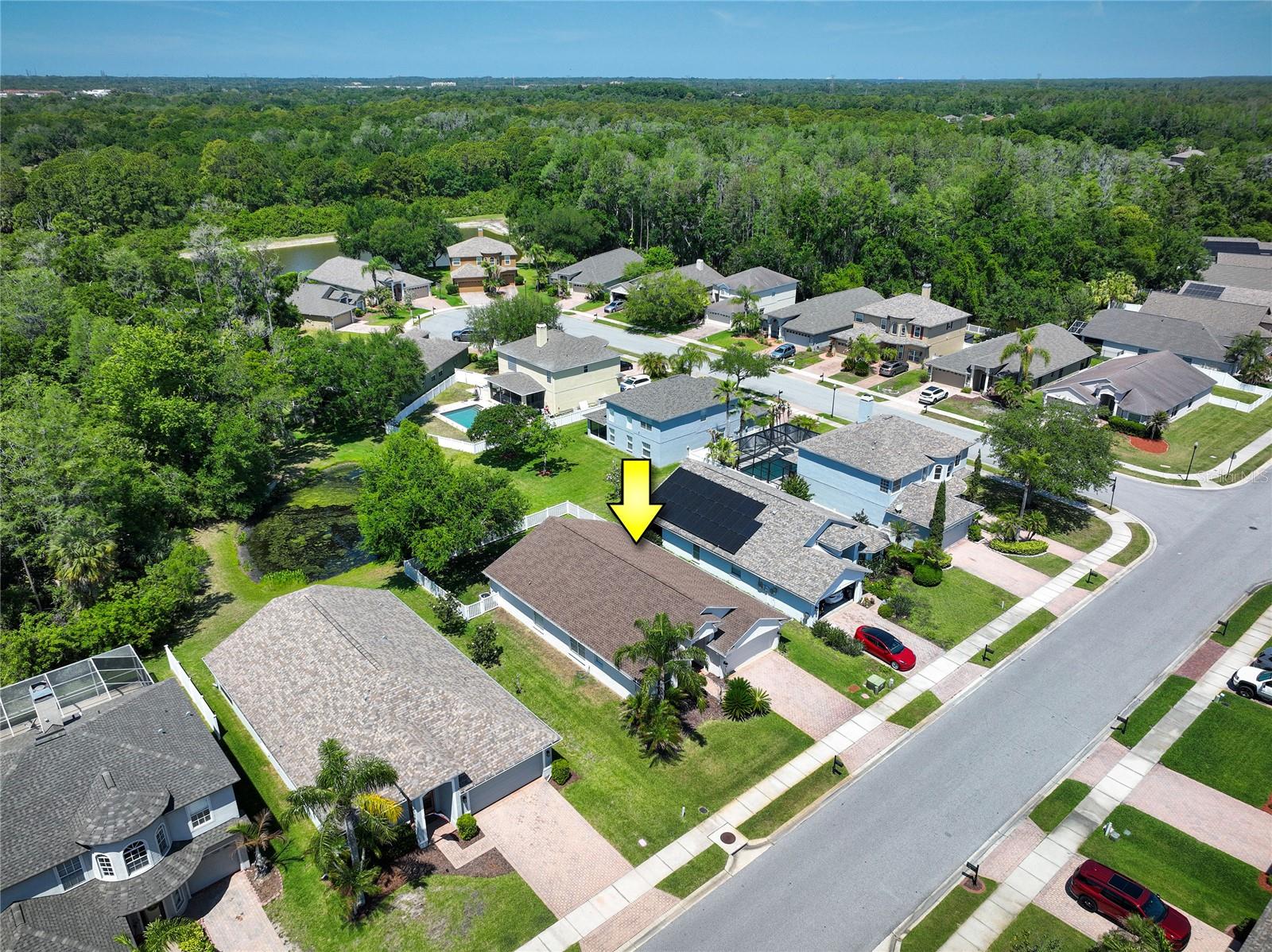 219 BAY ARBOR BLVD, OLDSMAR, FL, 34677