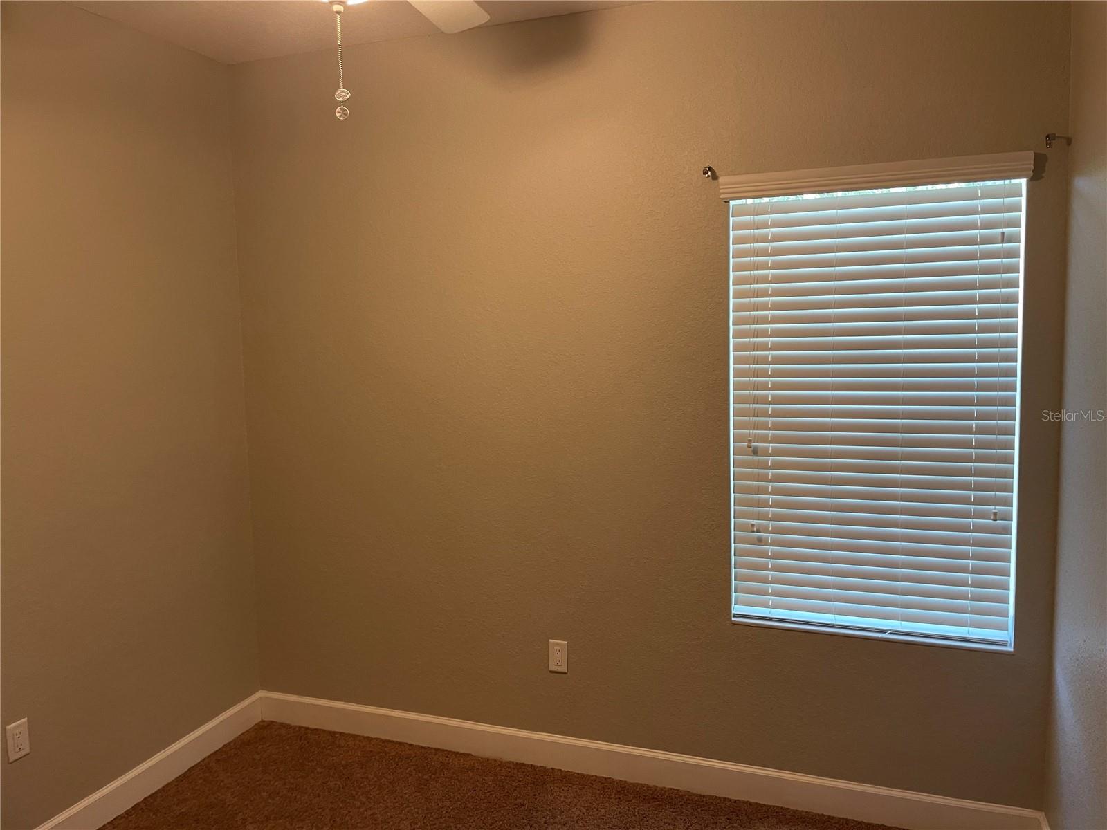 165 ALEXANDER WOODS DR, PLANT CITY, FL, 33563