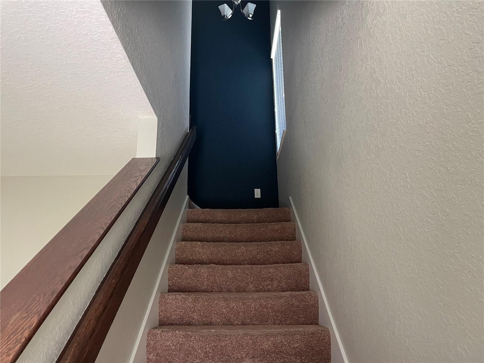 165 ALEXANDER WOODS DR, PLANT CITY, FL, 33563