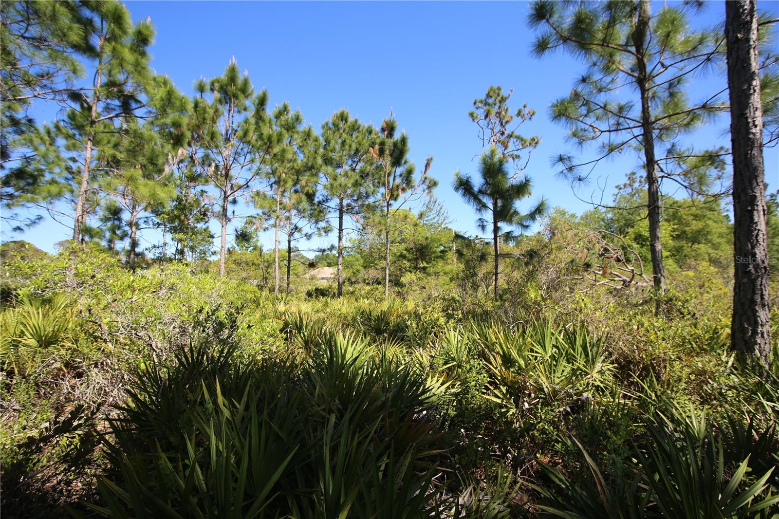 5 SERIEMA CT, PALM COAST, FL, 32164